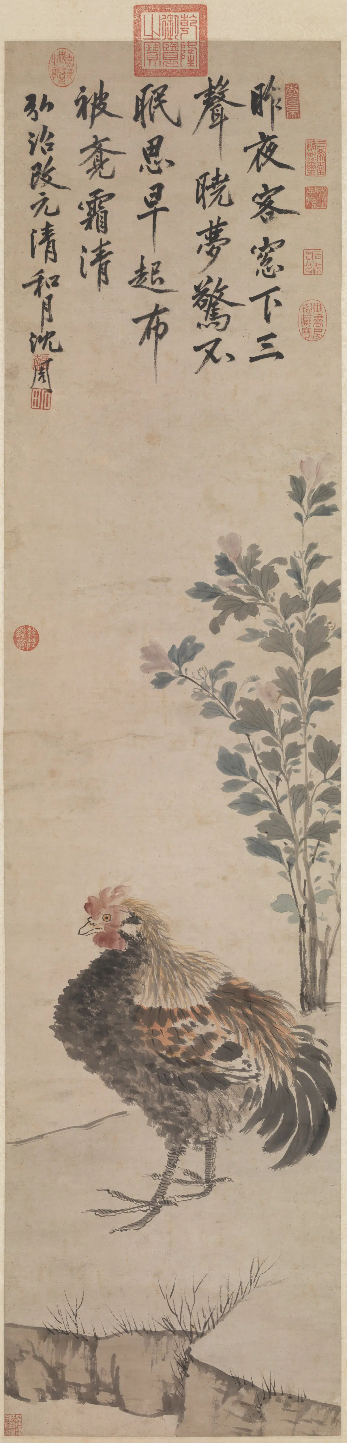 明朝【沈周】《画鸡图轴》