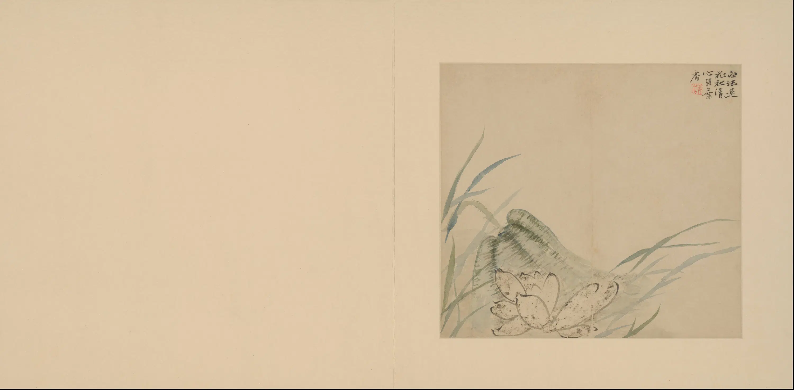 清代【陈撰】《花卉册》 第3张