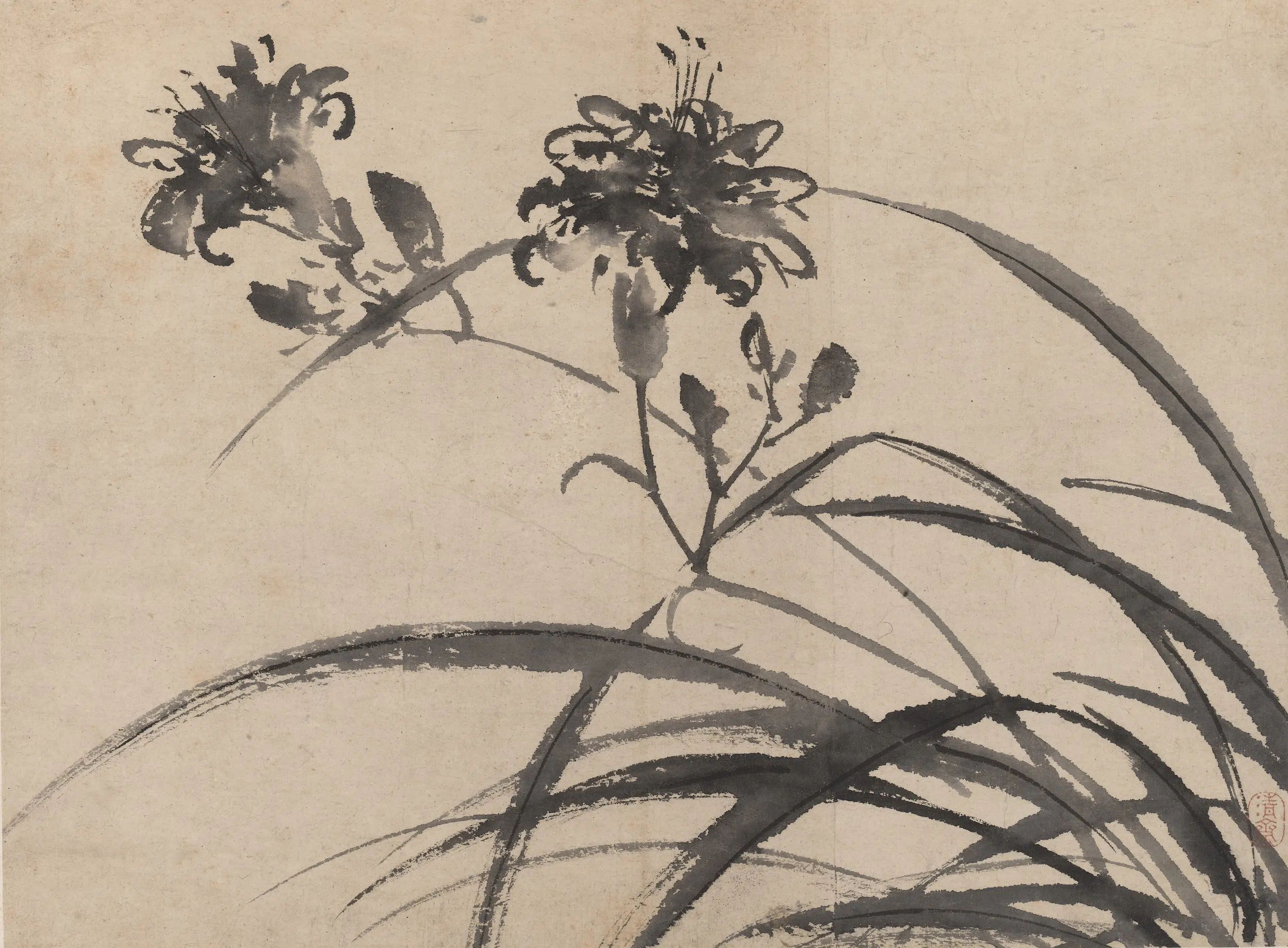 明朝【陈淳（道复）】《墨花图册》 第21张