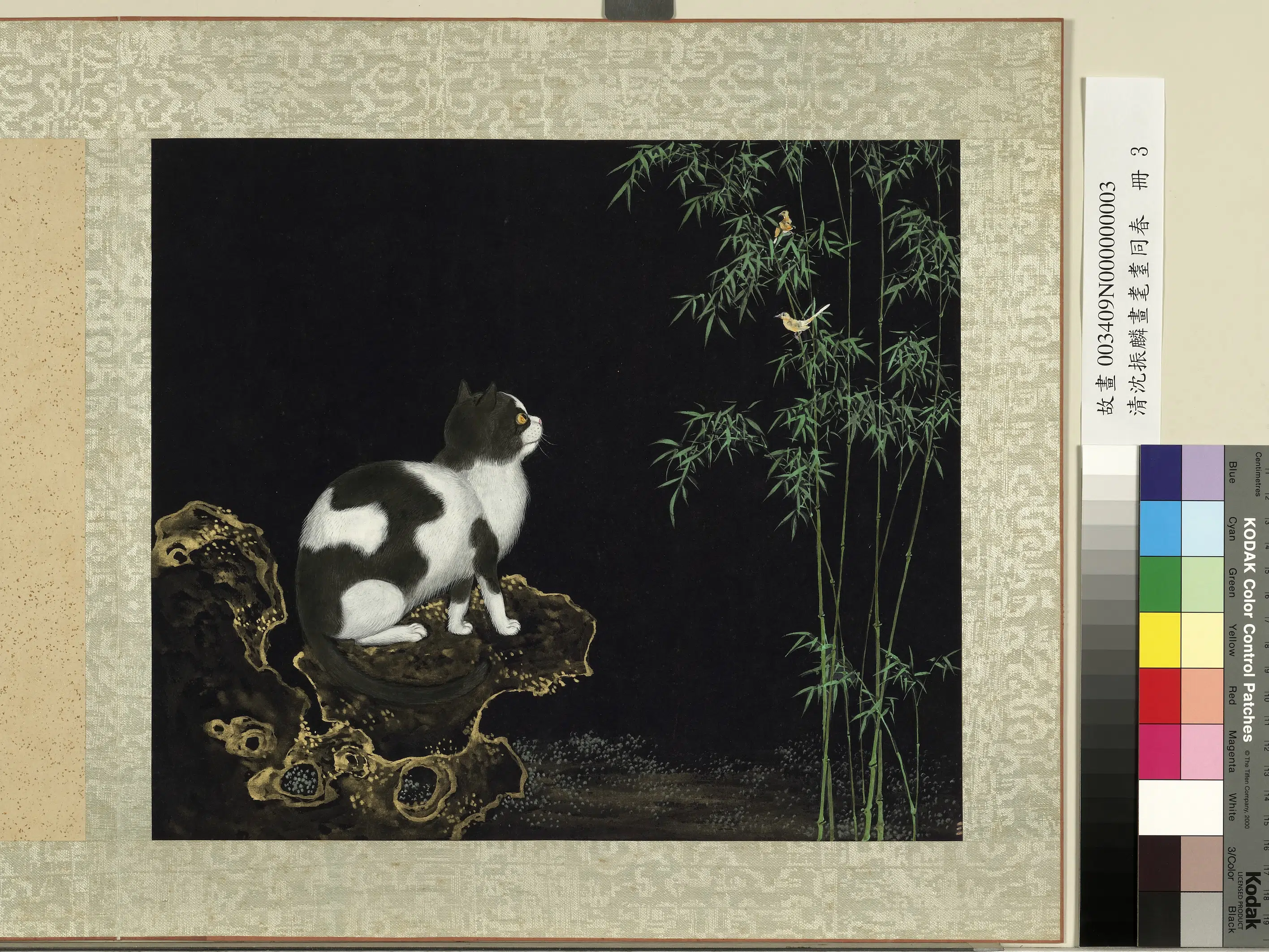 清朝【沈振麟】《画耄耋同春册-2》 第6张 清朝【沈振麟】《画耄耋同春册-2》 第6张