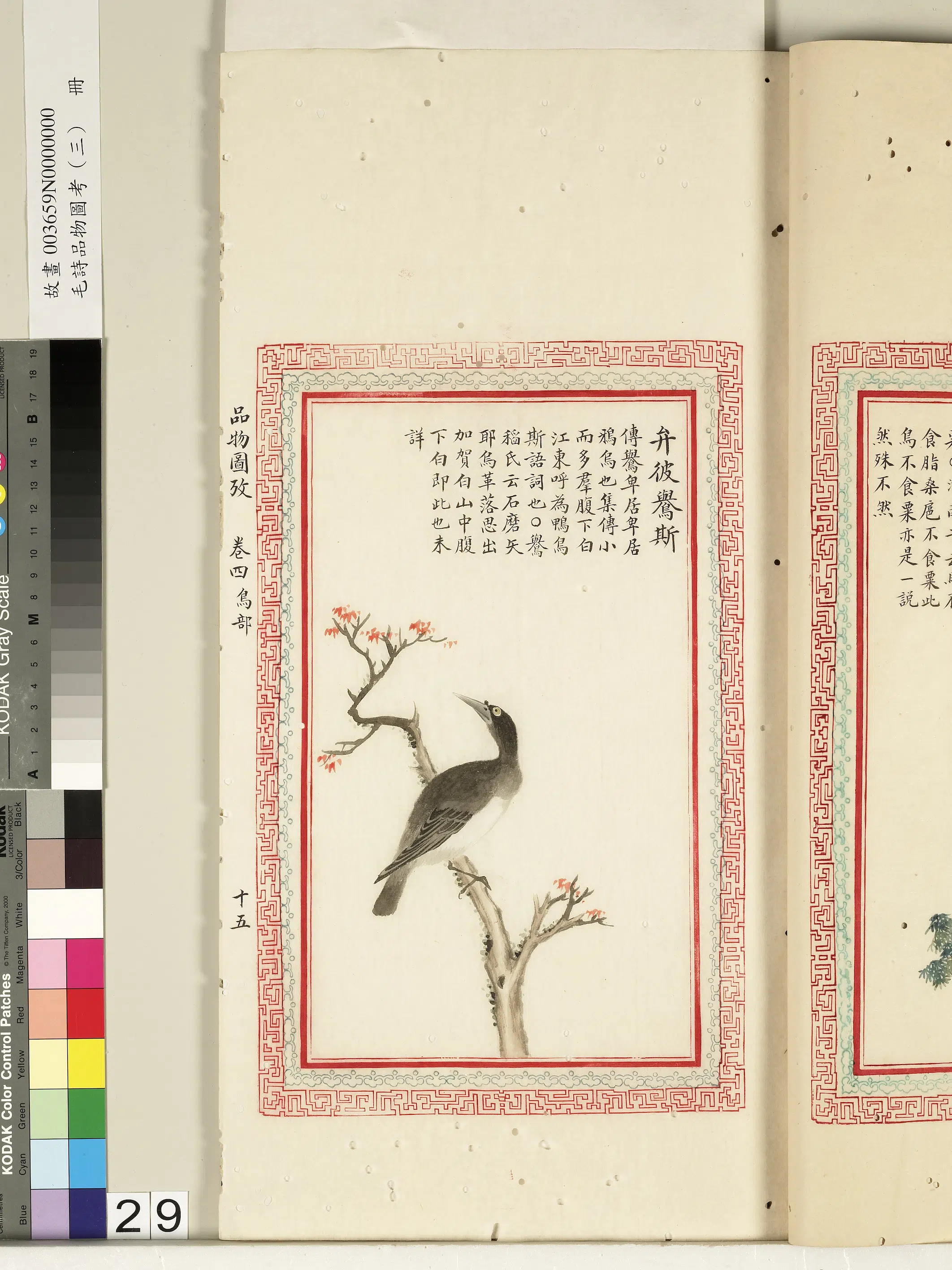 清代《毛诗品物图考（三）册-2》 第16张