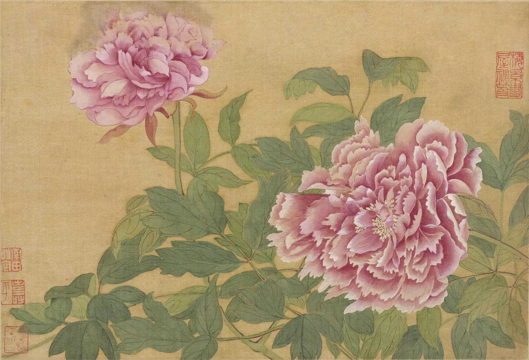 清代【恽寿平】《花卉图册(十开)》 第6张 清代【恽寿平】《花卉图册(十开)》 第6张
