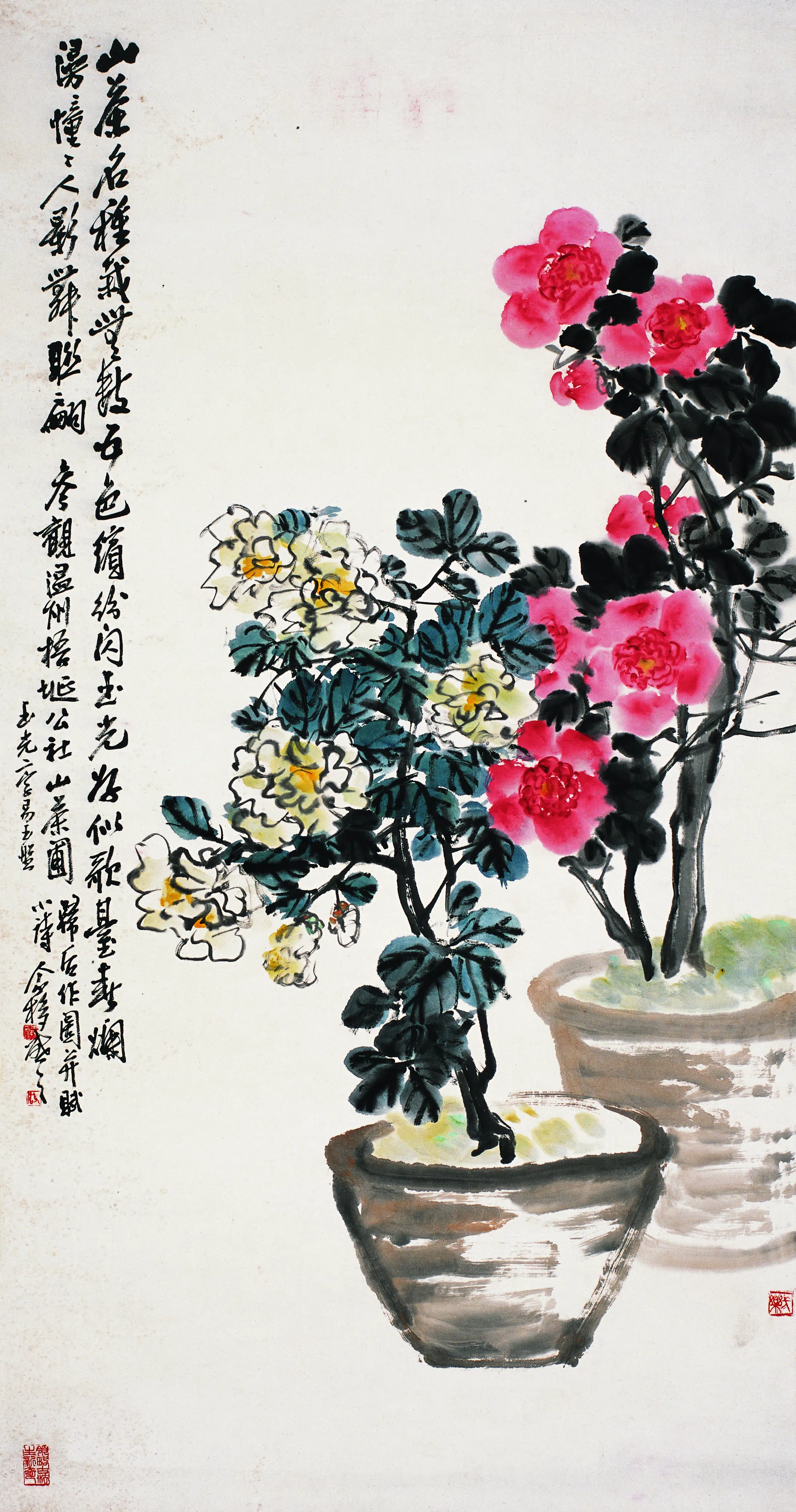 近现代【王个簃】《山茶》
