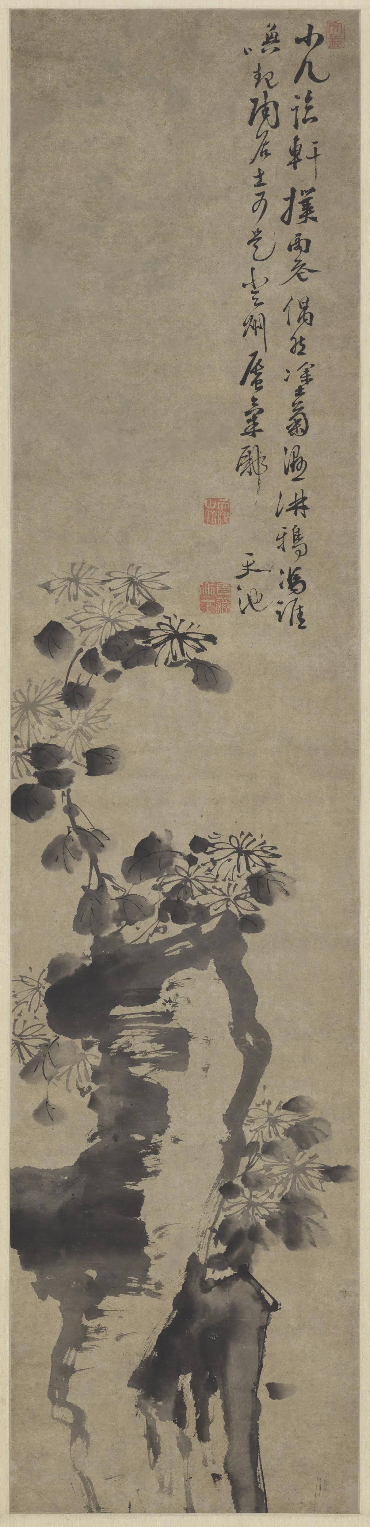 明朝【徐渭】《菊石图轴》