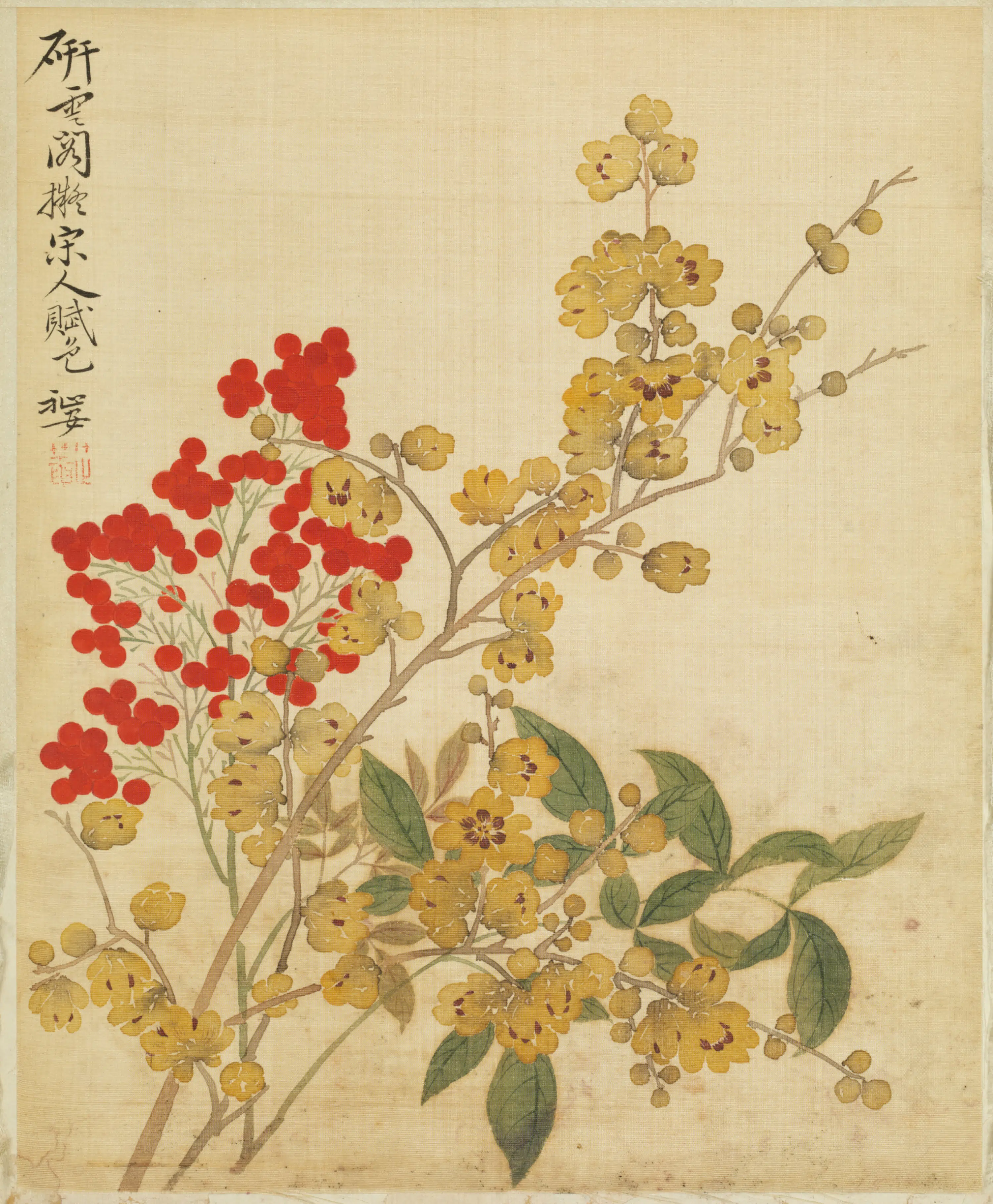 清代【范廷镇】《花卉图册》 第7张