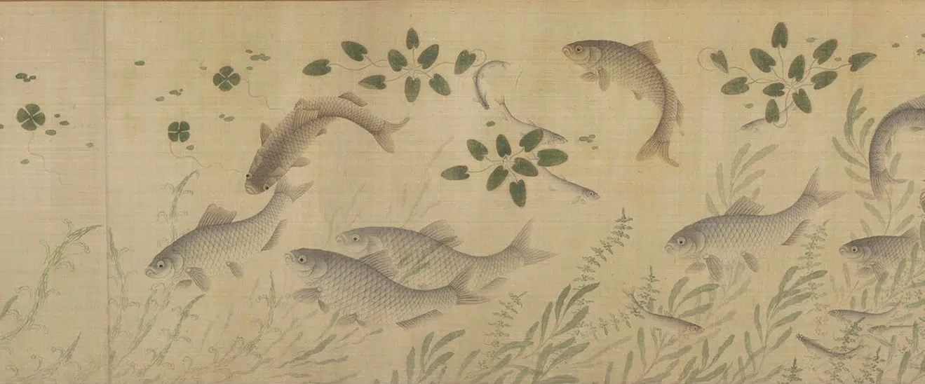 明代【佚名】《群鲜朝鲤图》 第2张