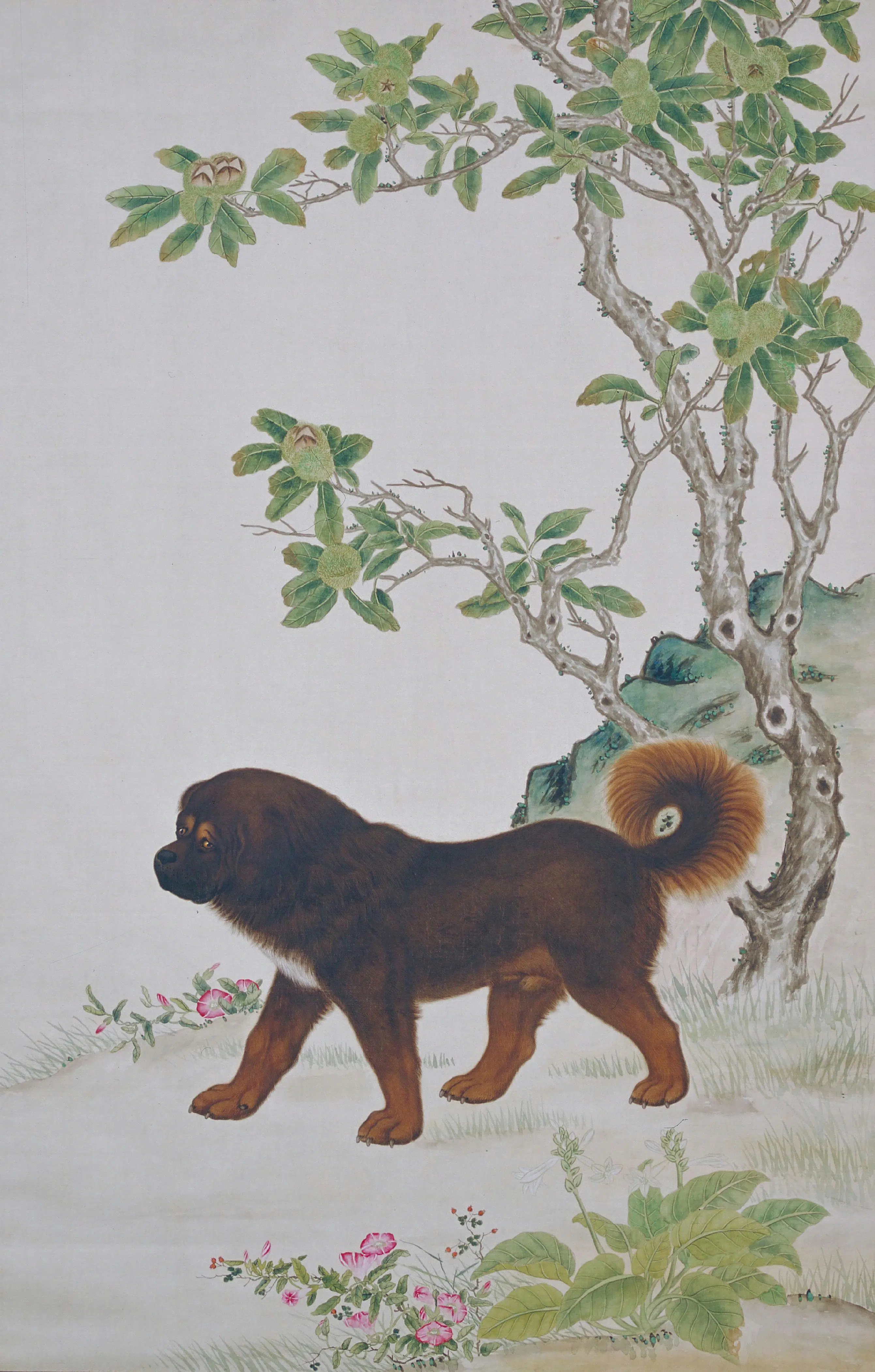 清代【佚名】《栗犬图轴》