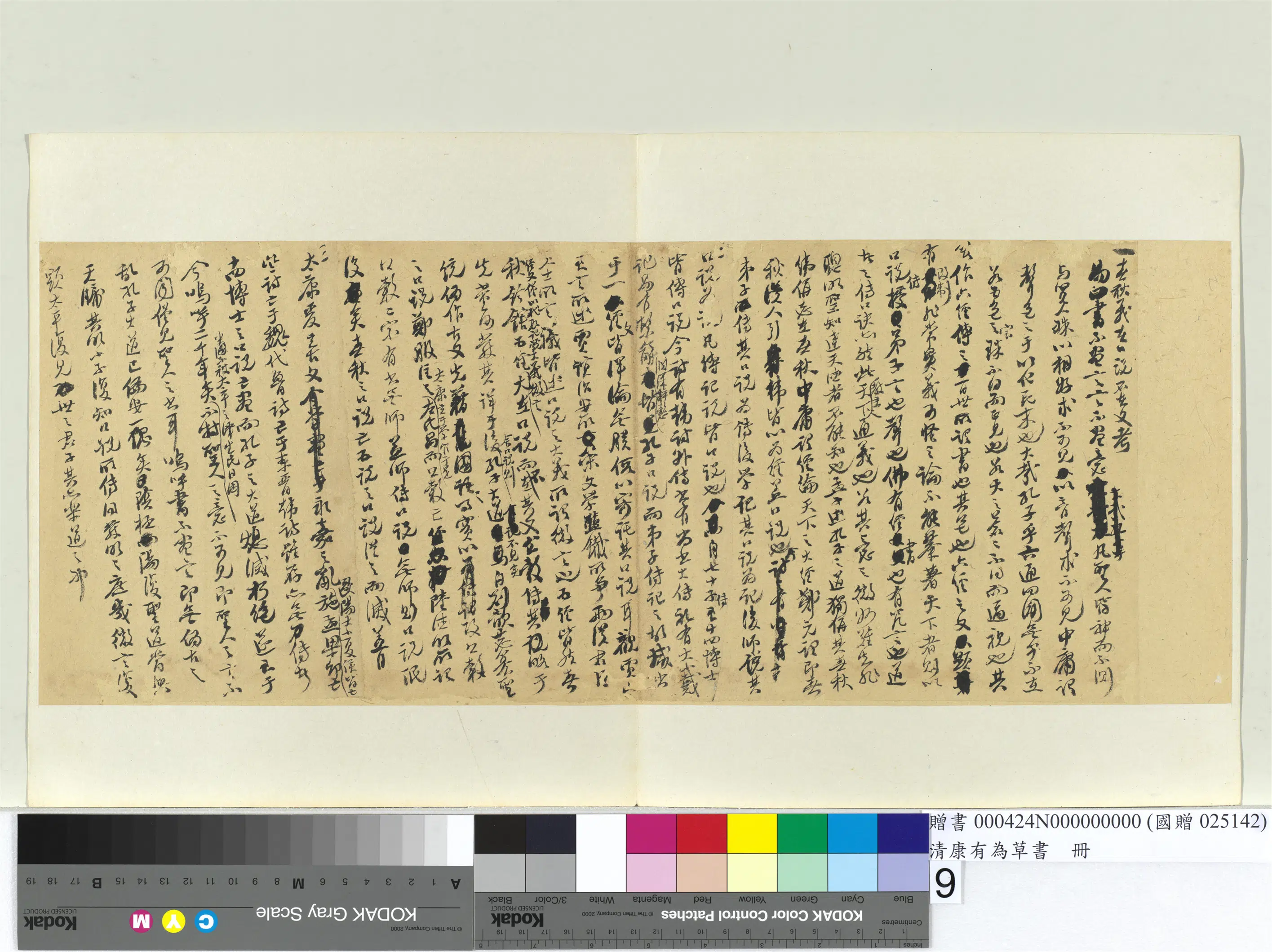 清代【康有为】《草书册》 第51张