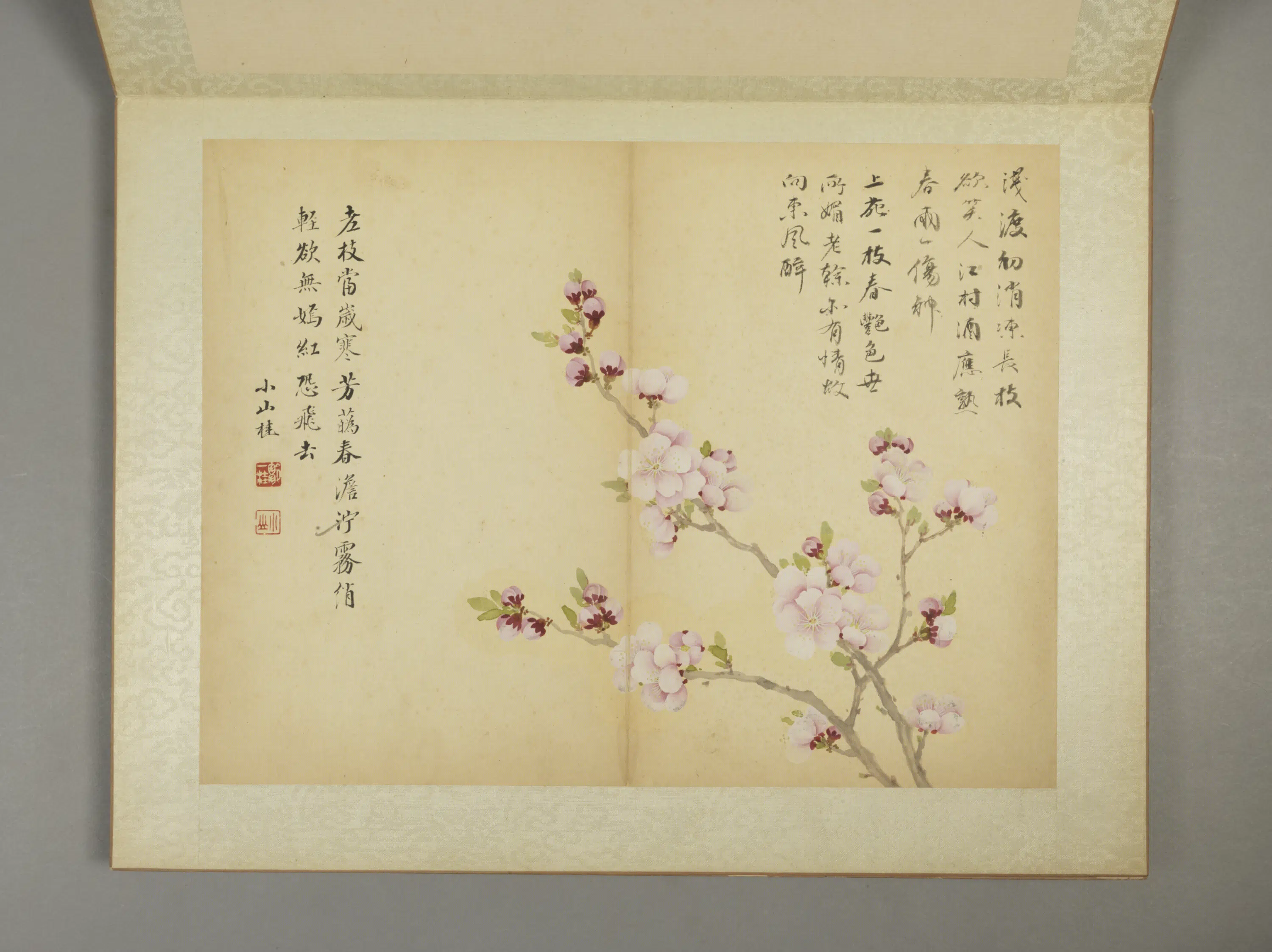 清代【邹一桂】《花卉图册（11开）》 第8张