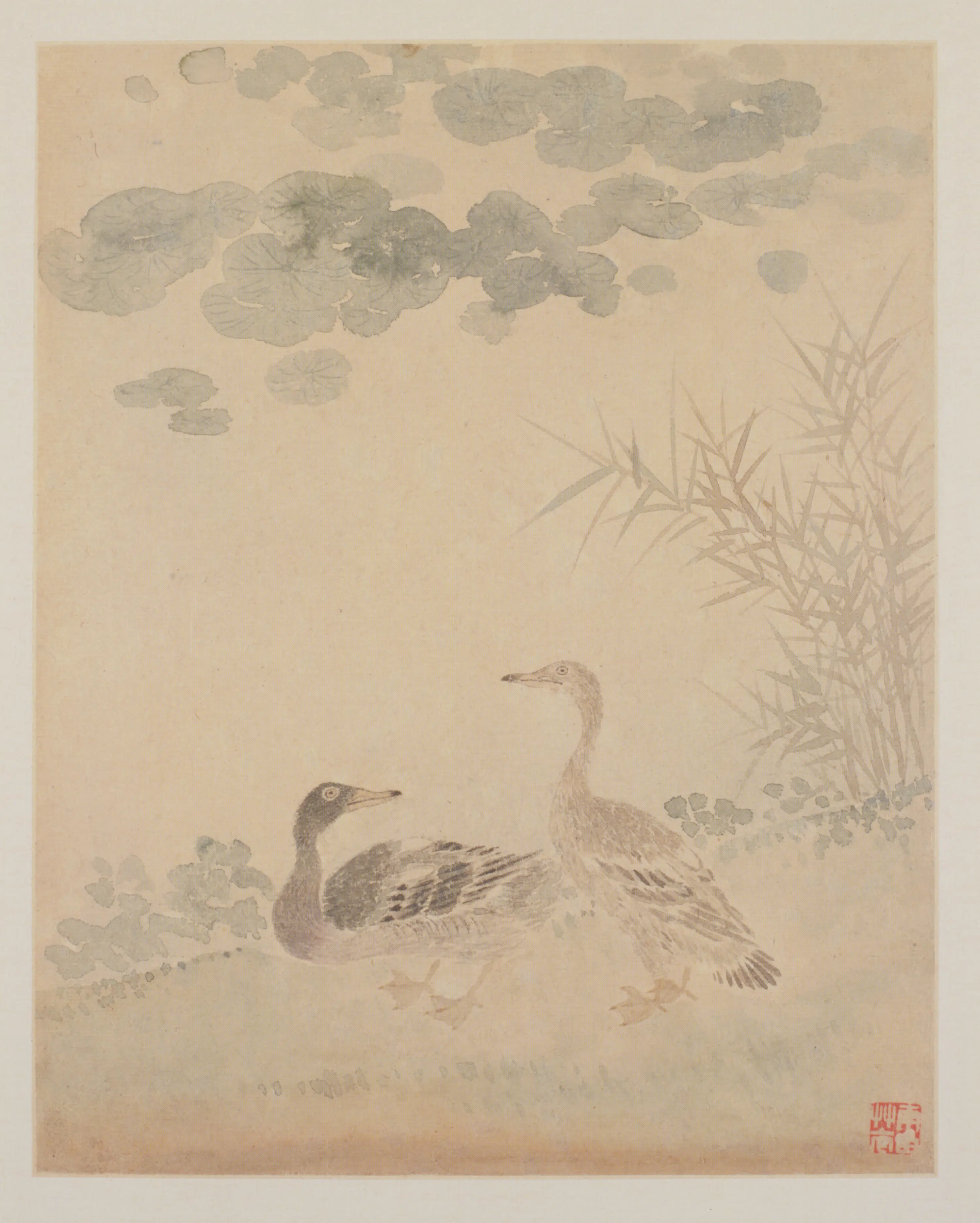 清代【恽寿平】《花鸟册(12开)》 第11张 清代【恽寿平】《花鸟册(12开)》 第11张