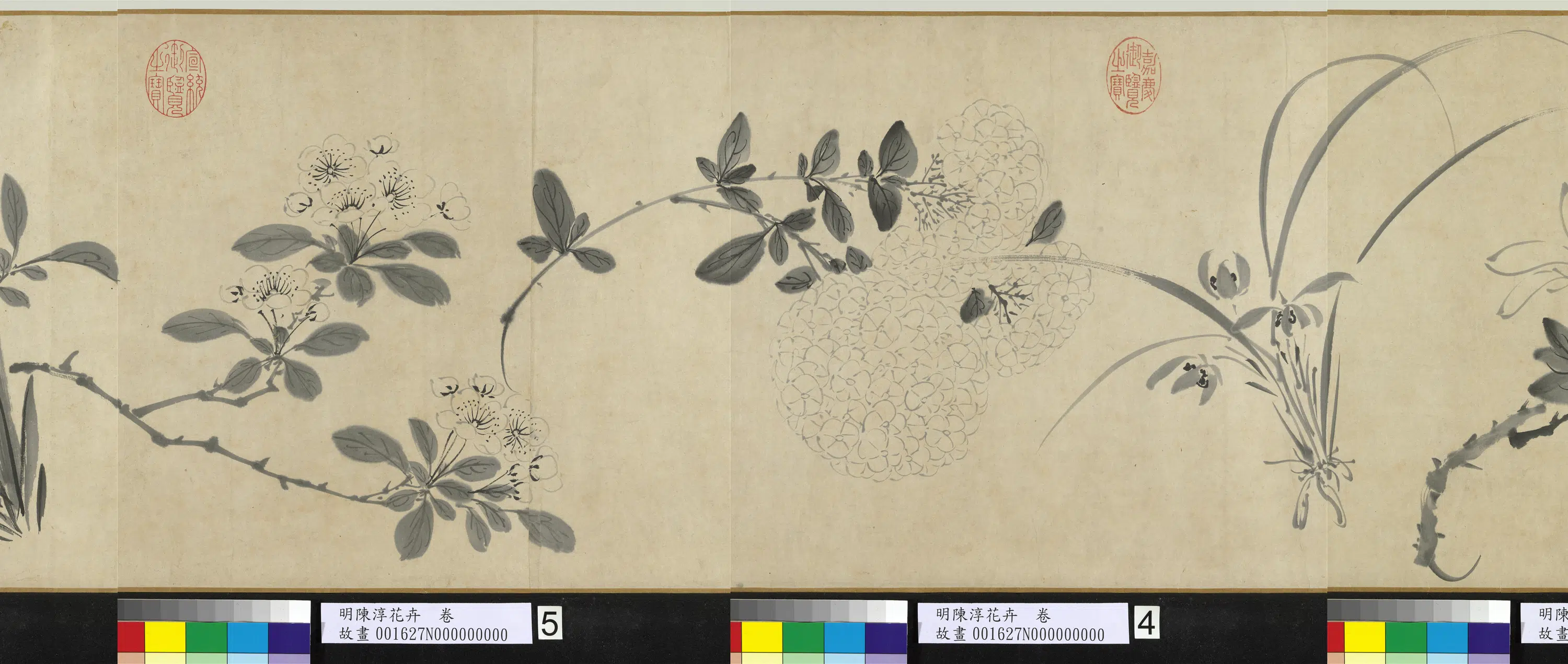 明朝【陈淳(道复)】《花卉图卷》 第8张 明朝【陈淳(道复)】《花卉图卷》 第8张