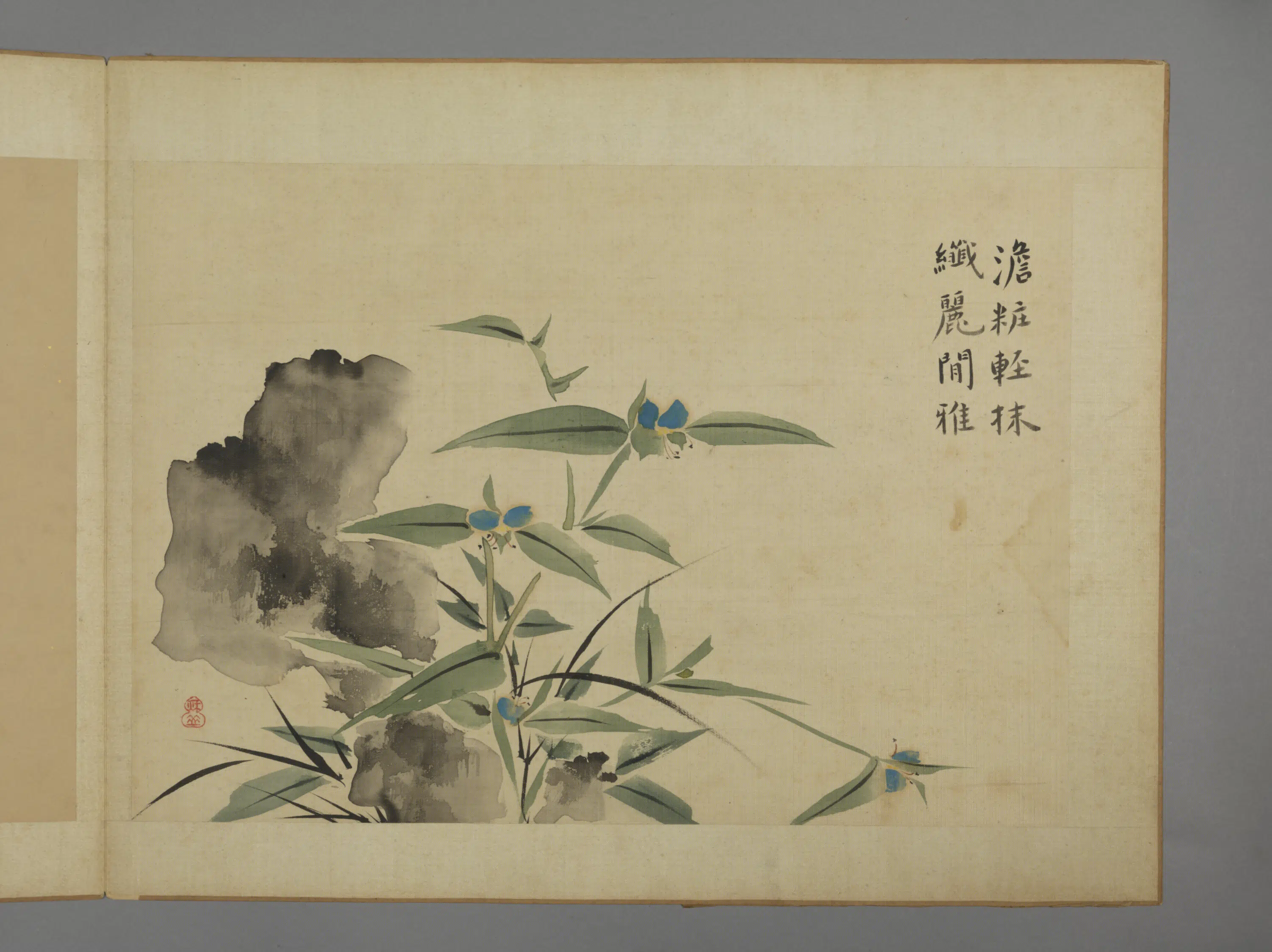清代【华喦】《花卉图册（11开）》 第6张