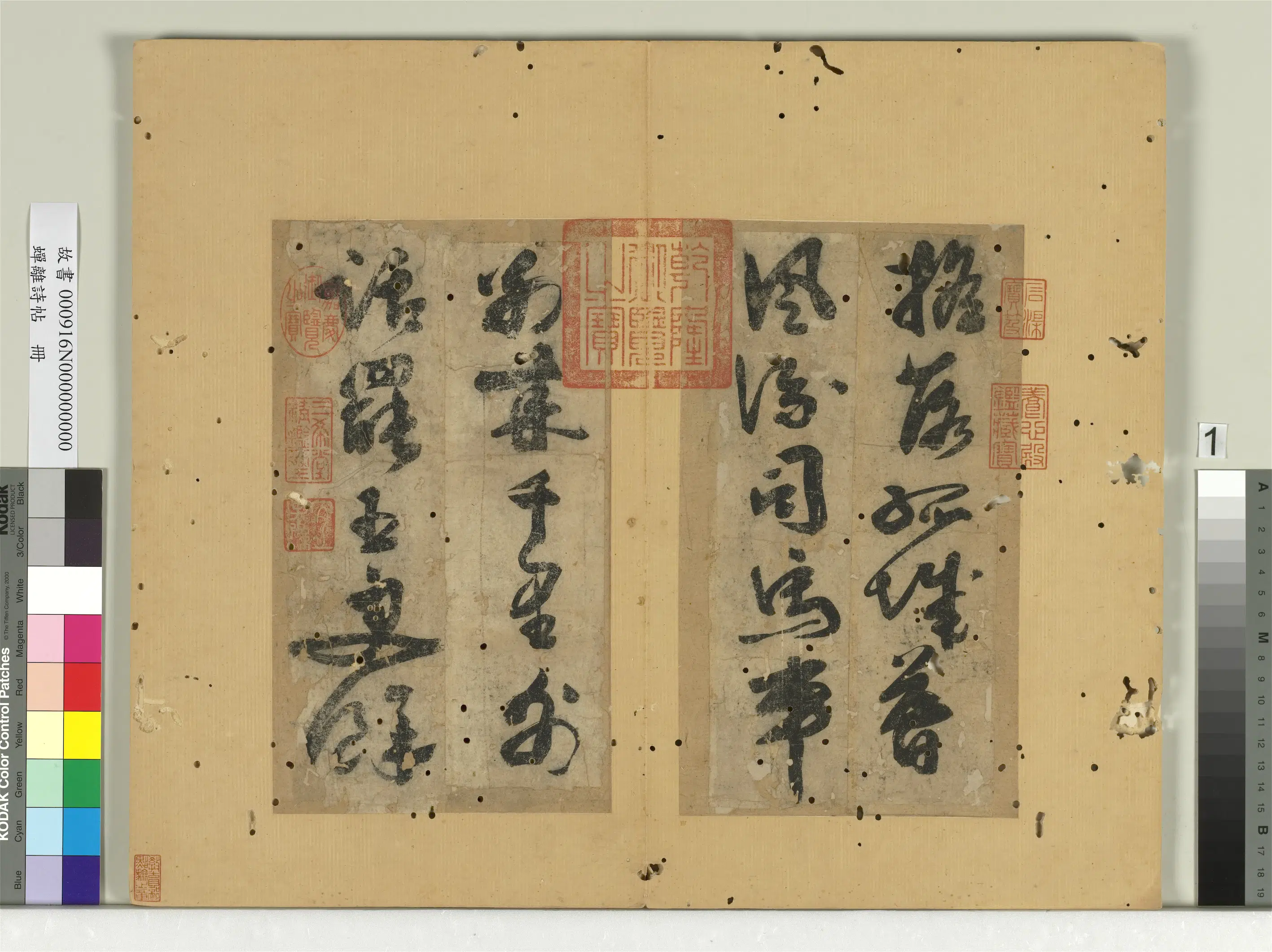 【蝉离】《蝉离诗帖册》