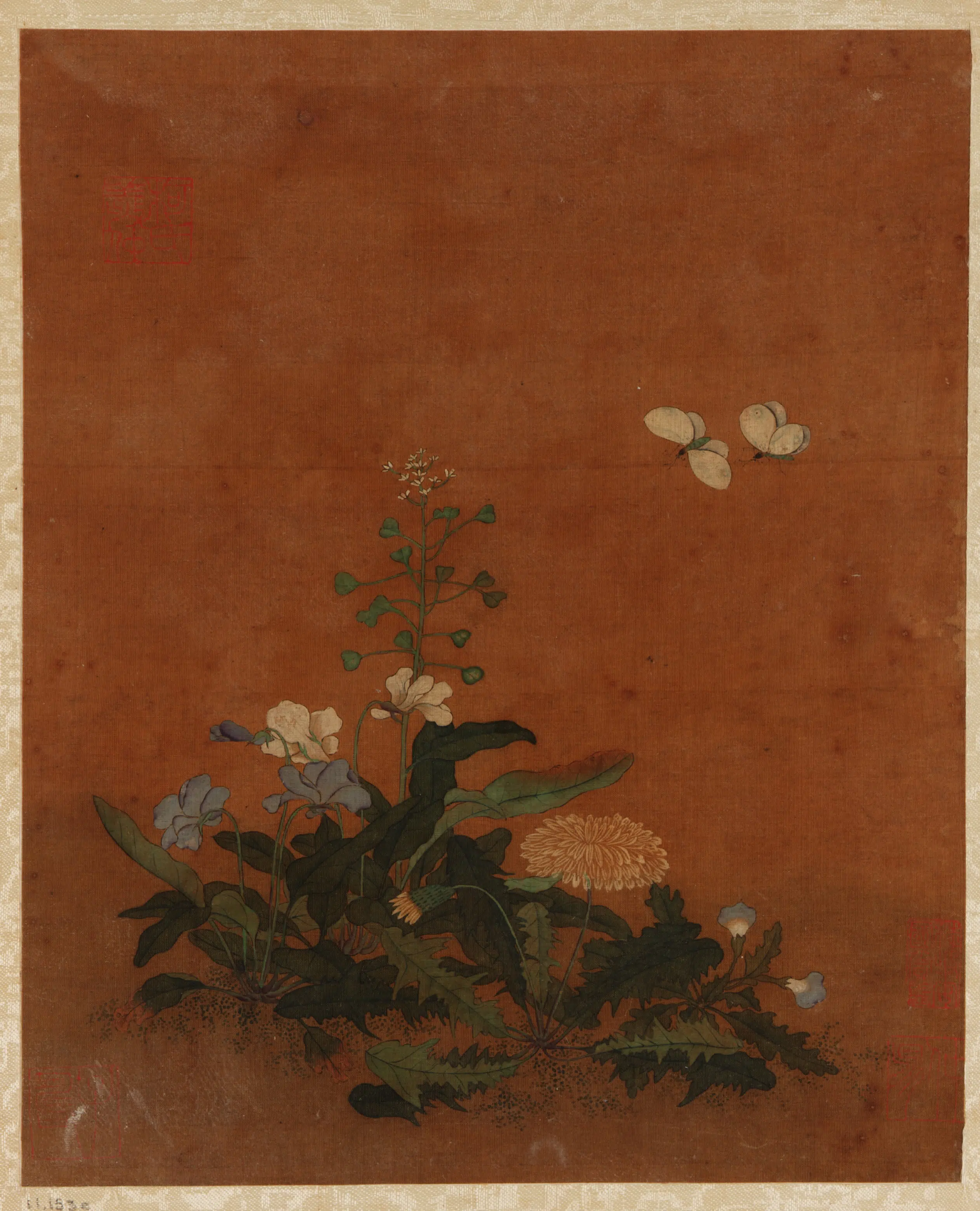 【佚名】《花鸟水果画册》 第5张