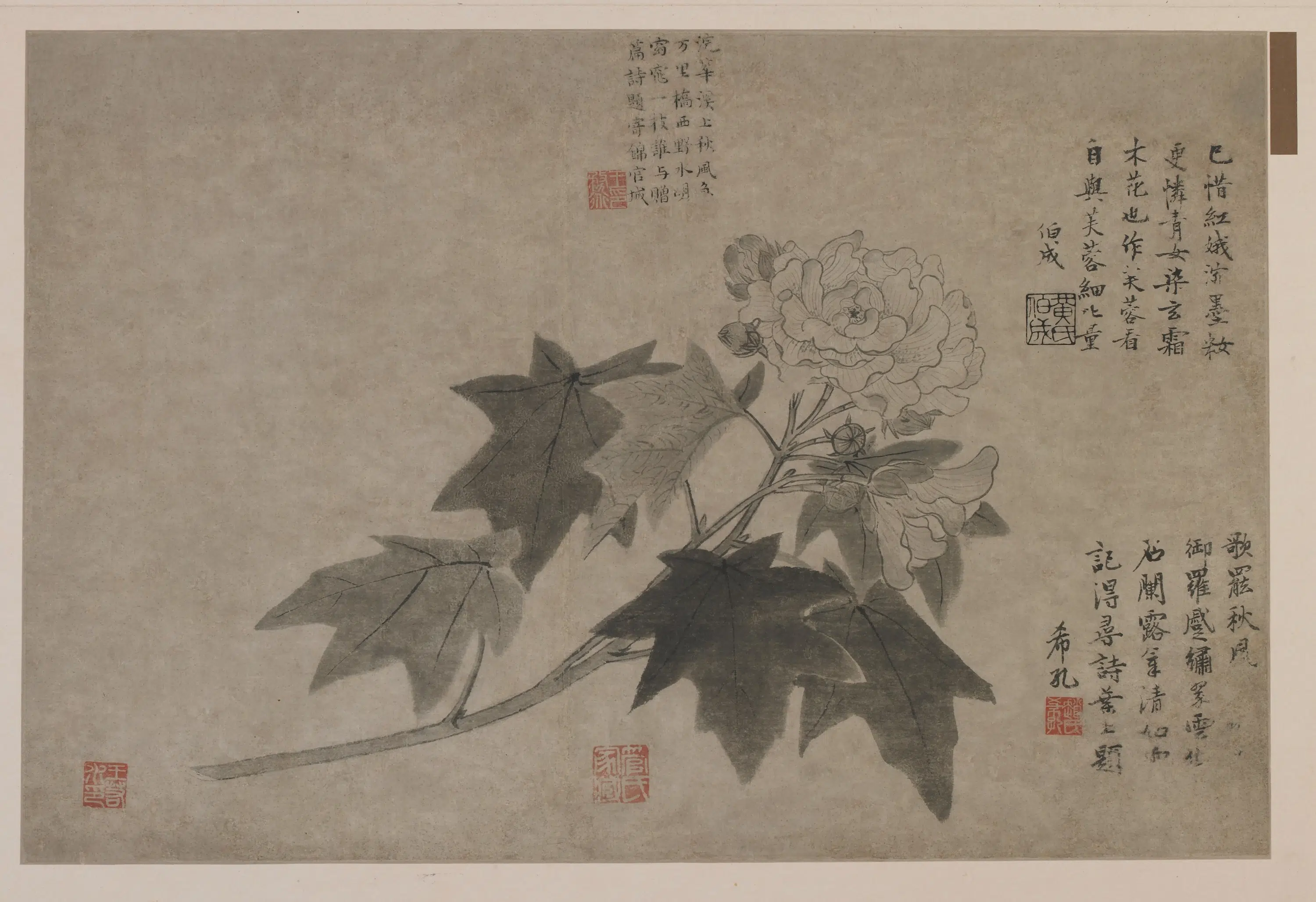元朝【王渊】《芙蓉图》