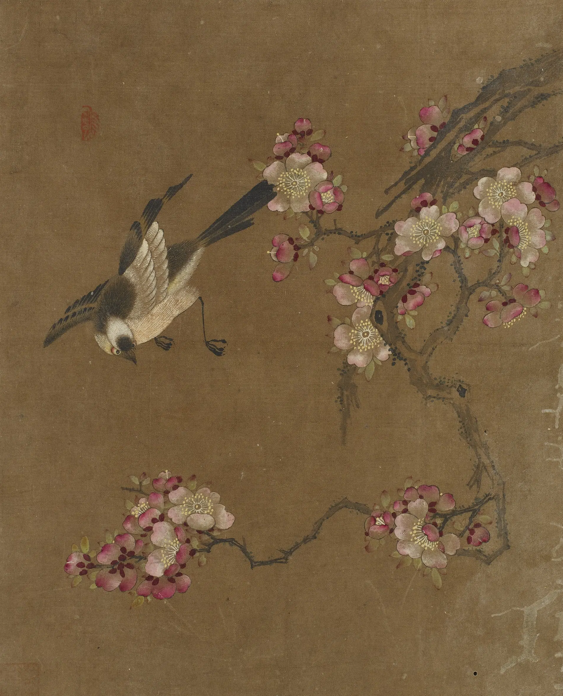《花鸟图册十开》