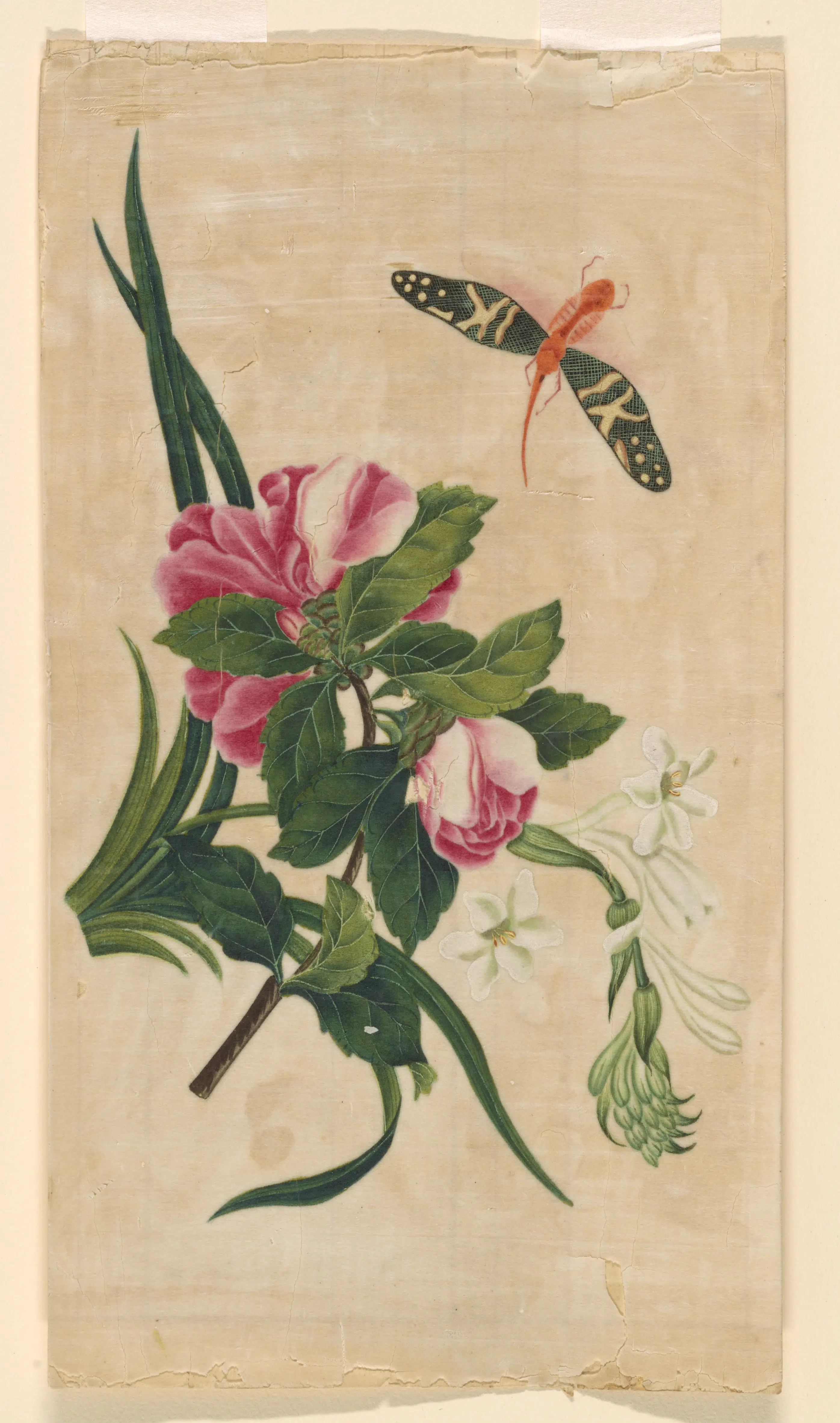 《花蝶飞舞图》