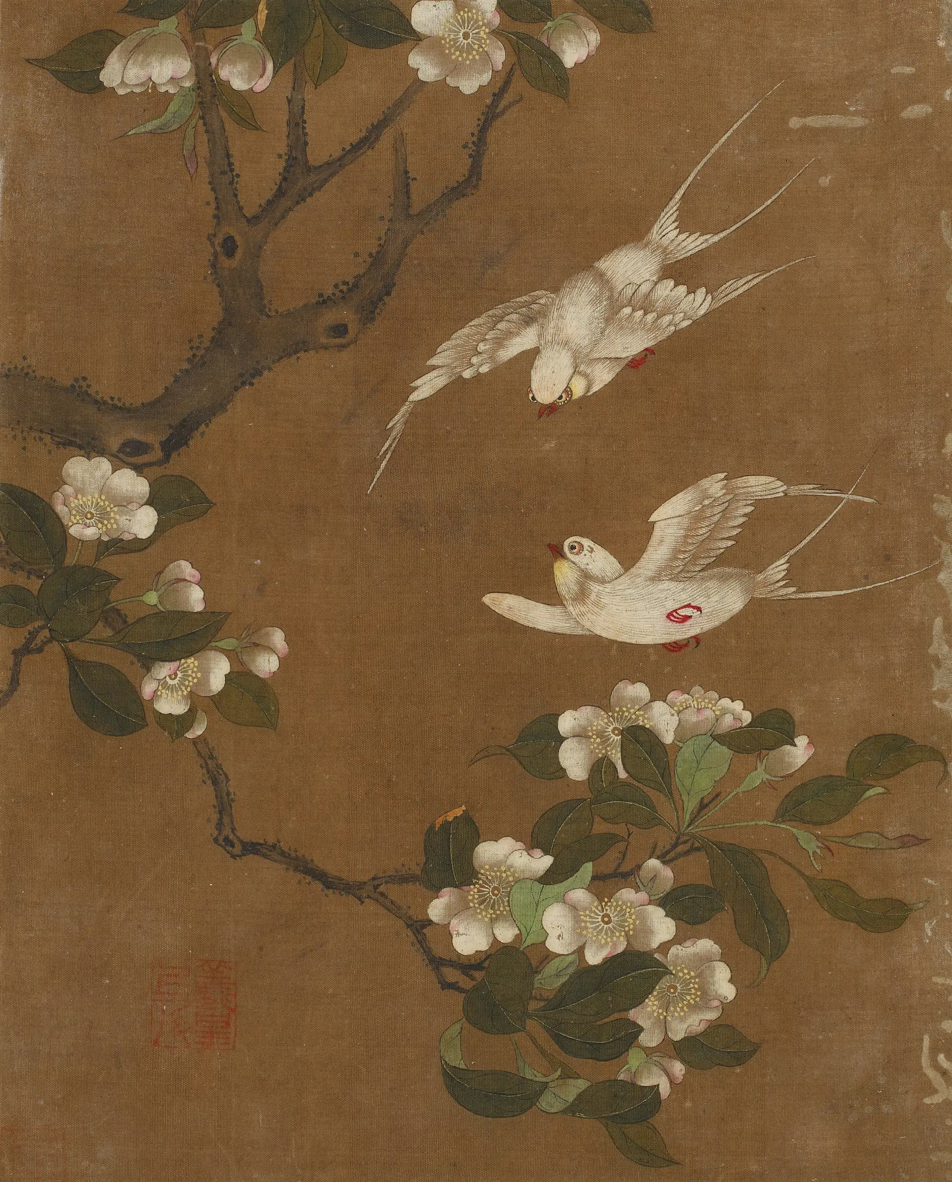 《花鸟图册十开》 第11张