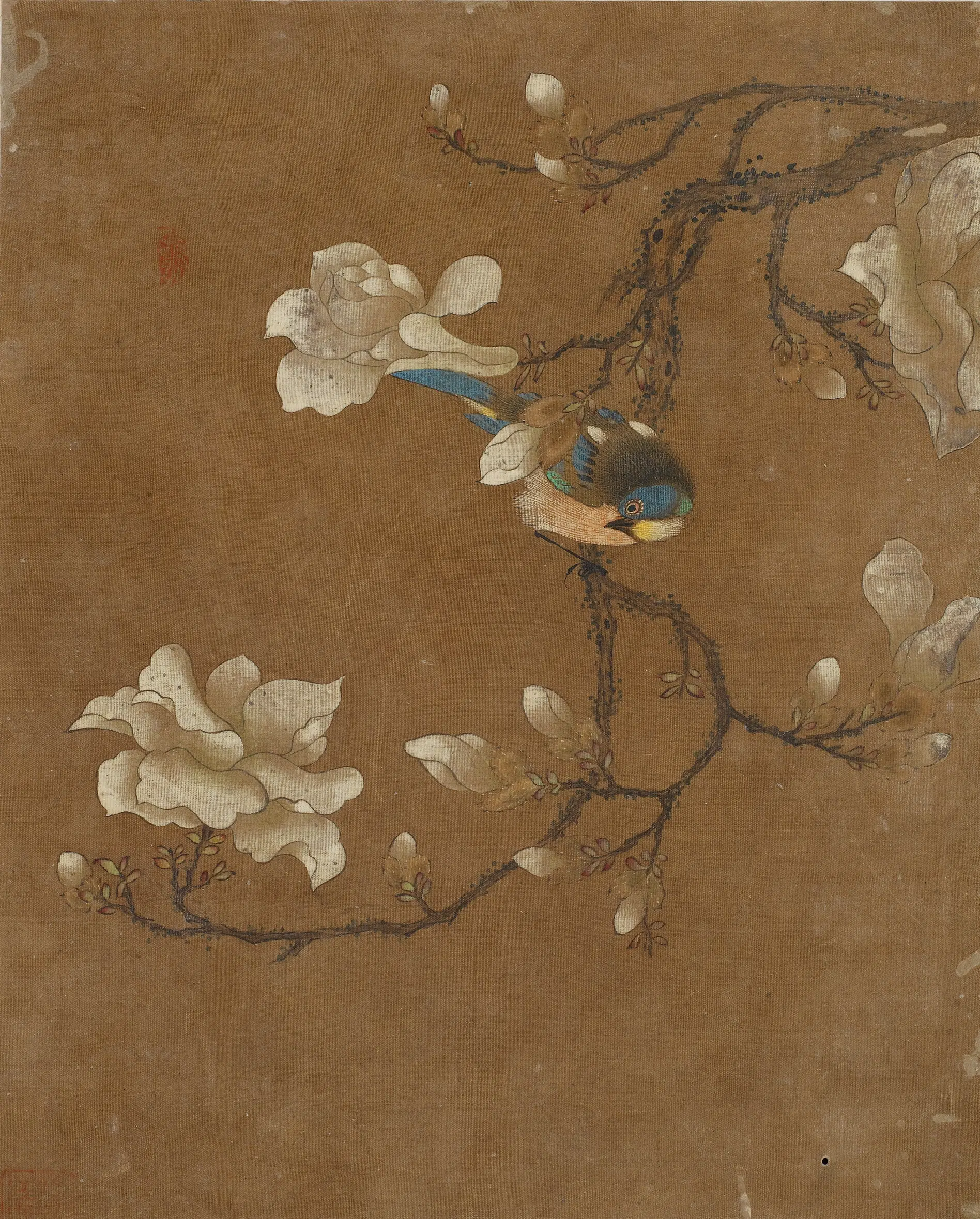 《花鸟图册十开》 第4张