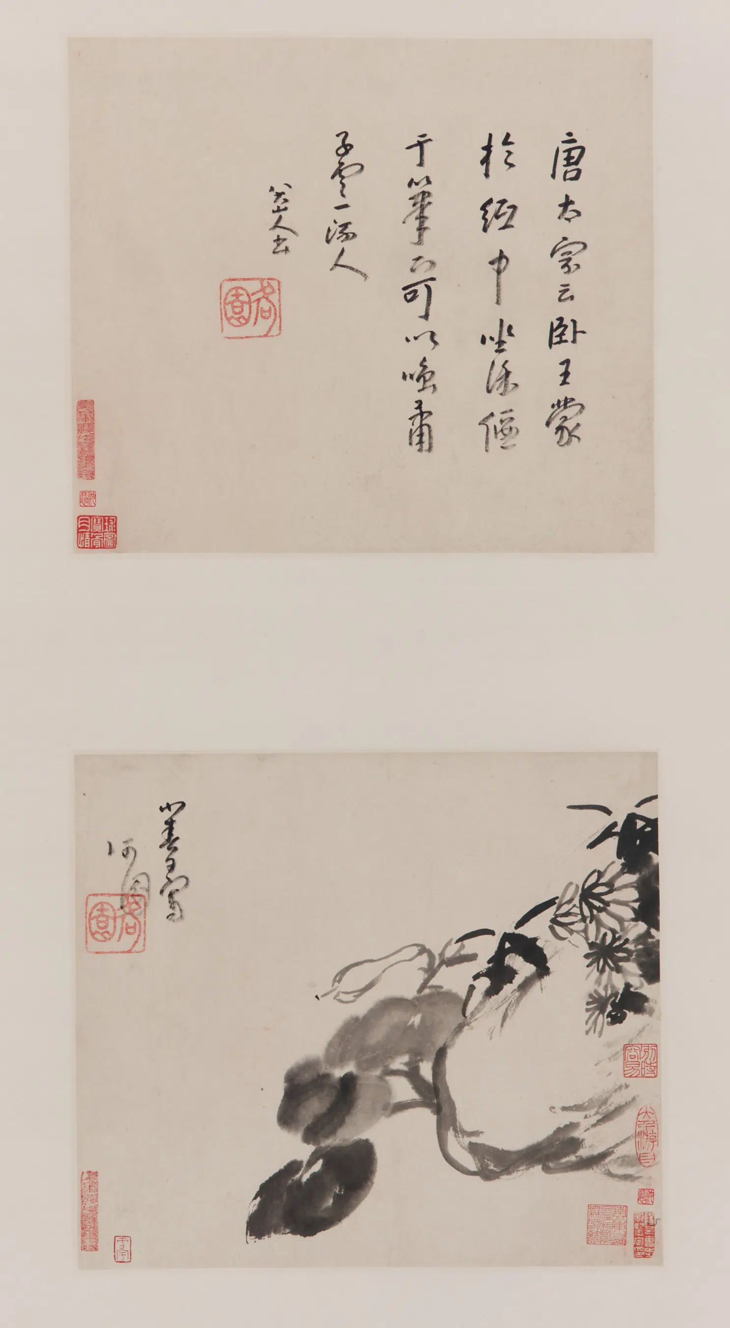 清朝【朱耷】《玉簪花图并草书节录姜夔《续书谱》(册页两开裱轴)》 第1张
