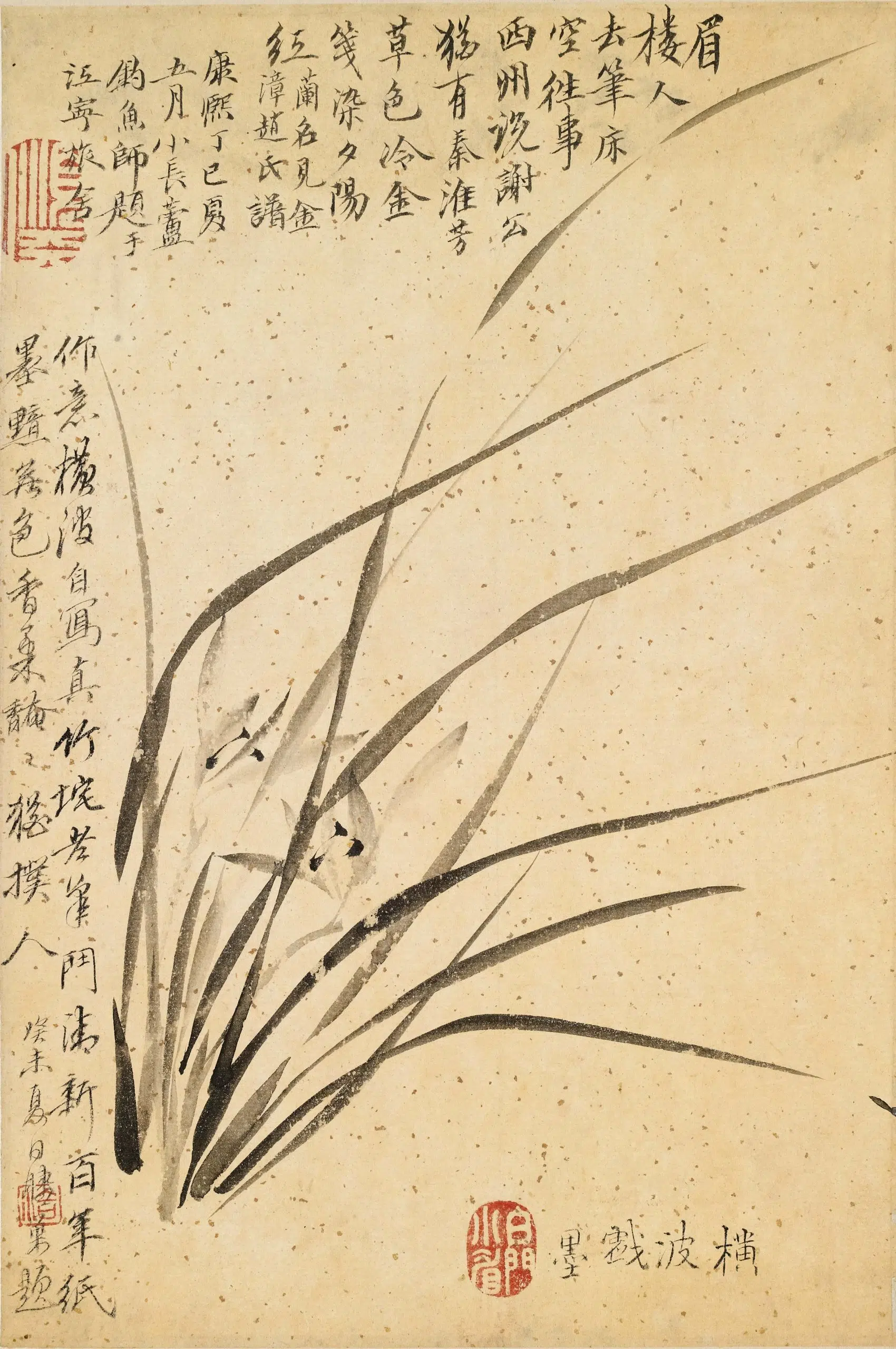 明朝【顾横波-顾媚（顾眉）】《兰花图立轴》