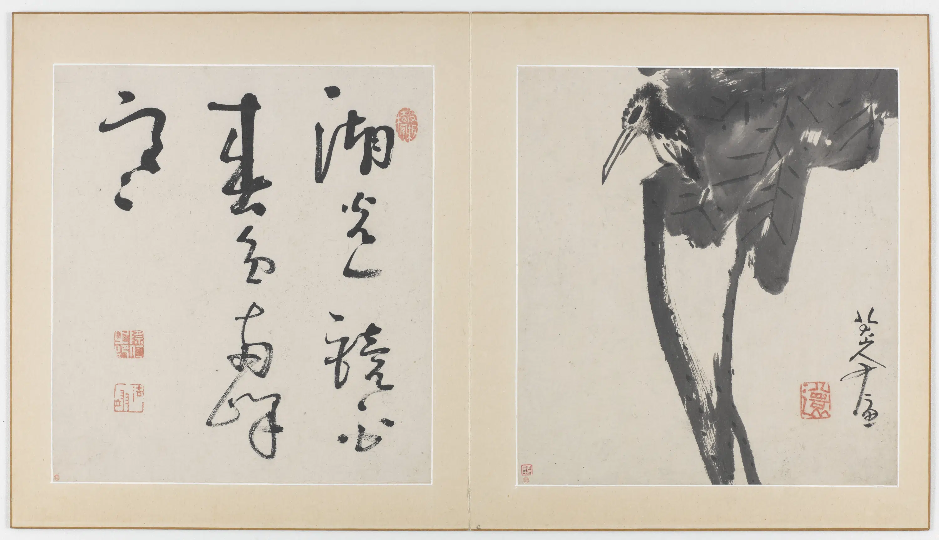 清朝【朱耷】《花鸟虫鱼图册(十一开)》 第9张