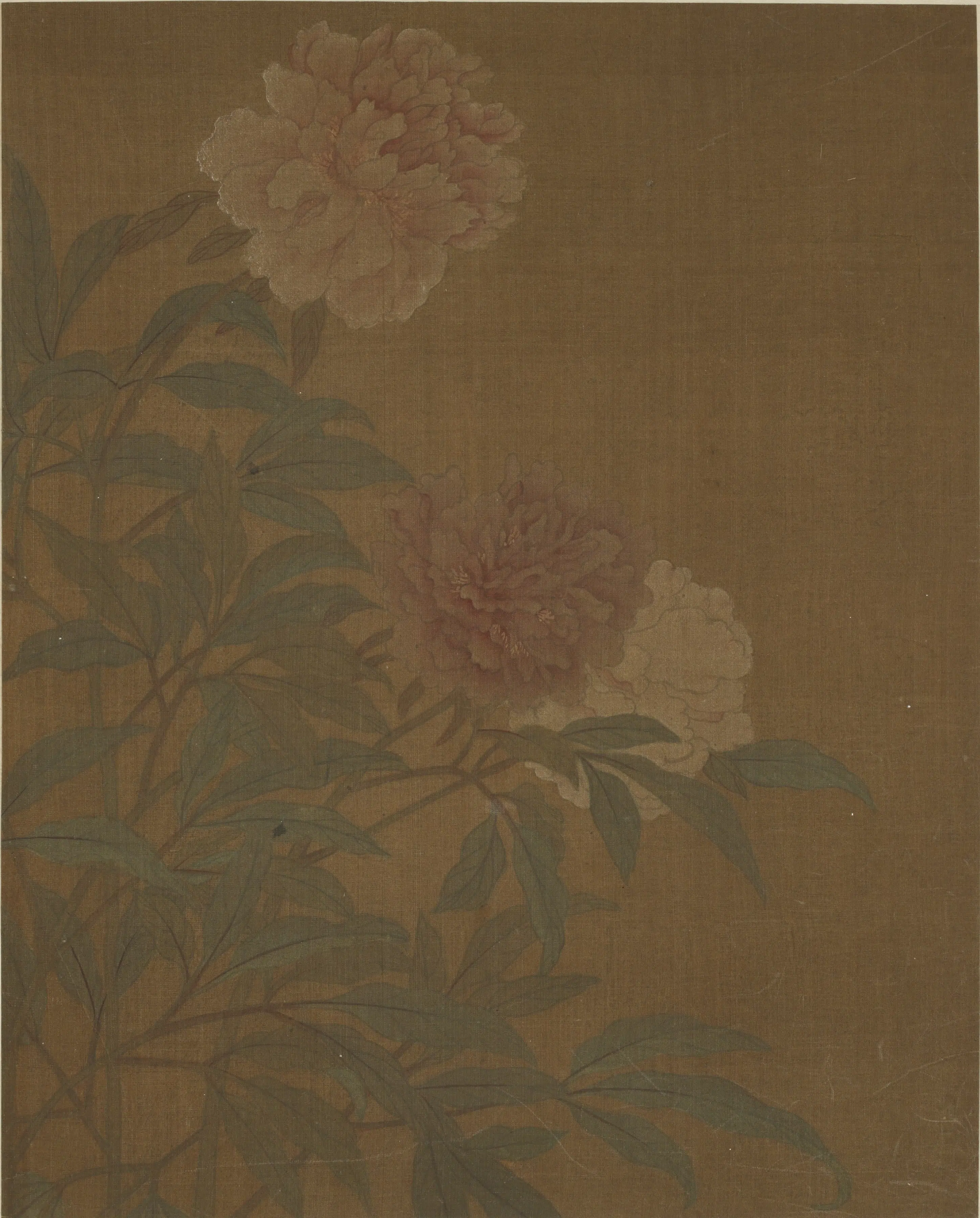 宋朝【黄居寀】《花卉图册八开》 第3张