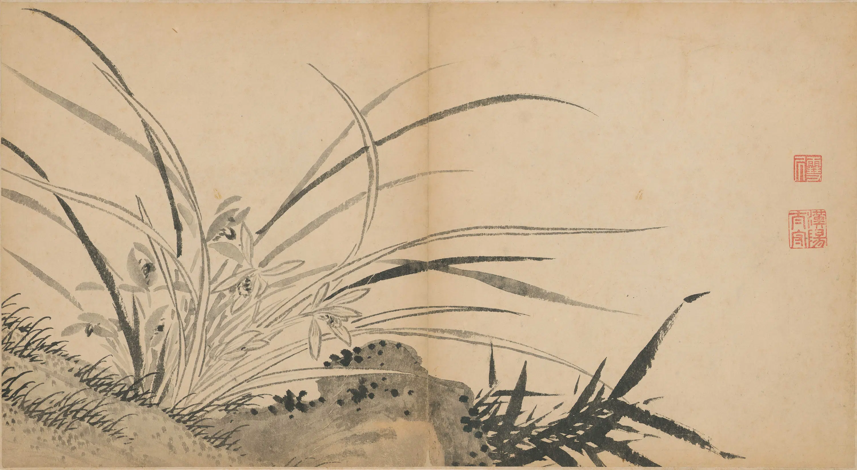 明朝【孙克弘】《兰花图》