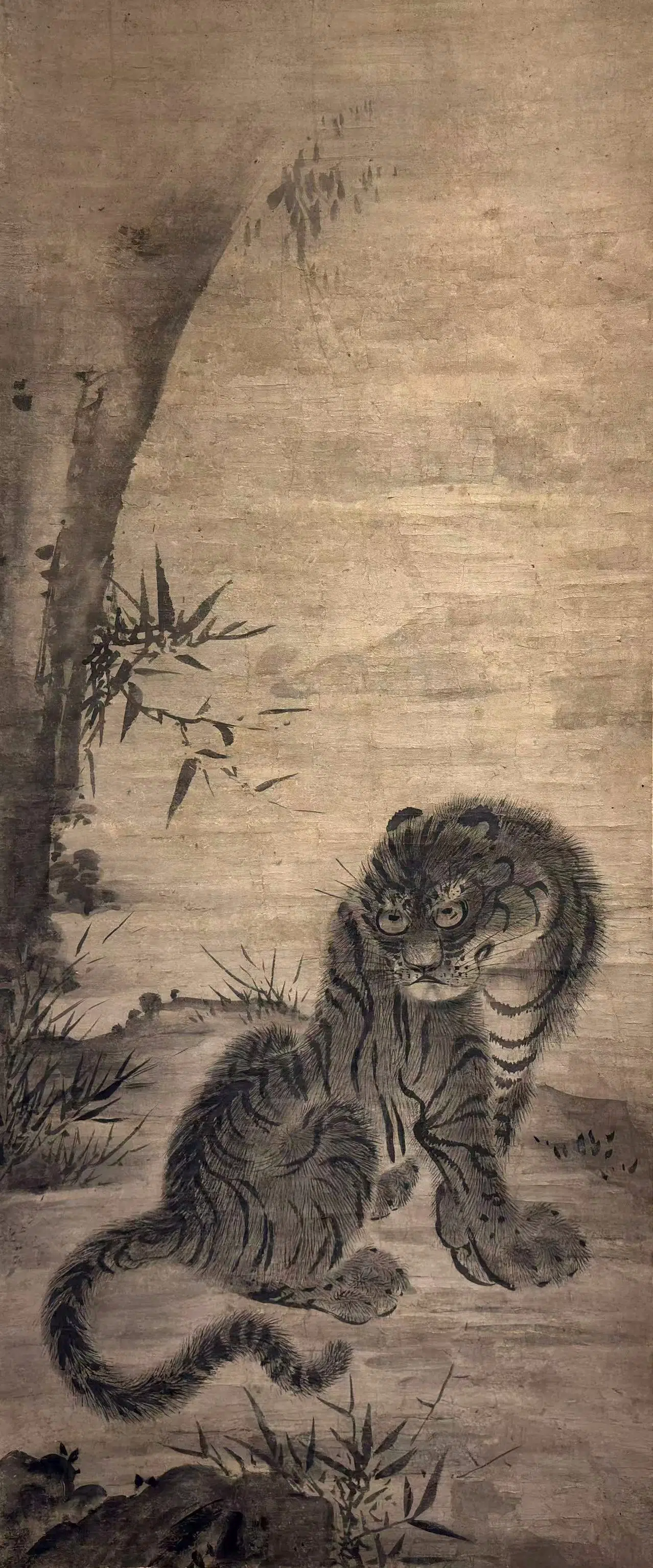 清代【佚名】《虎图》