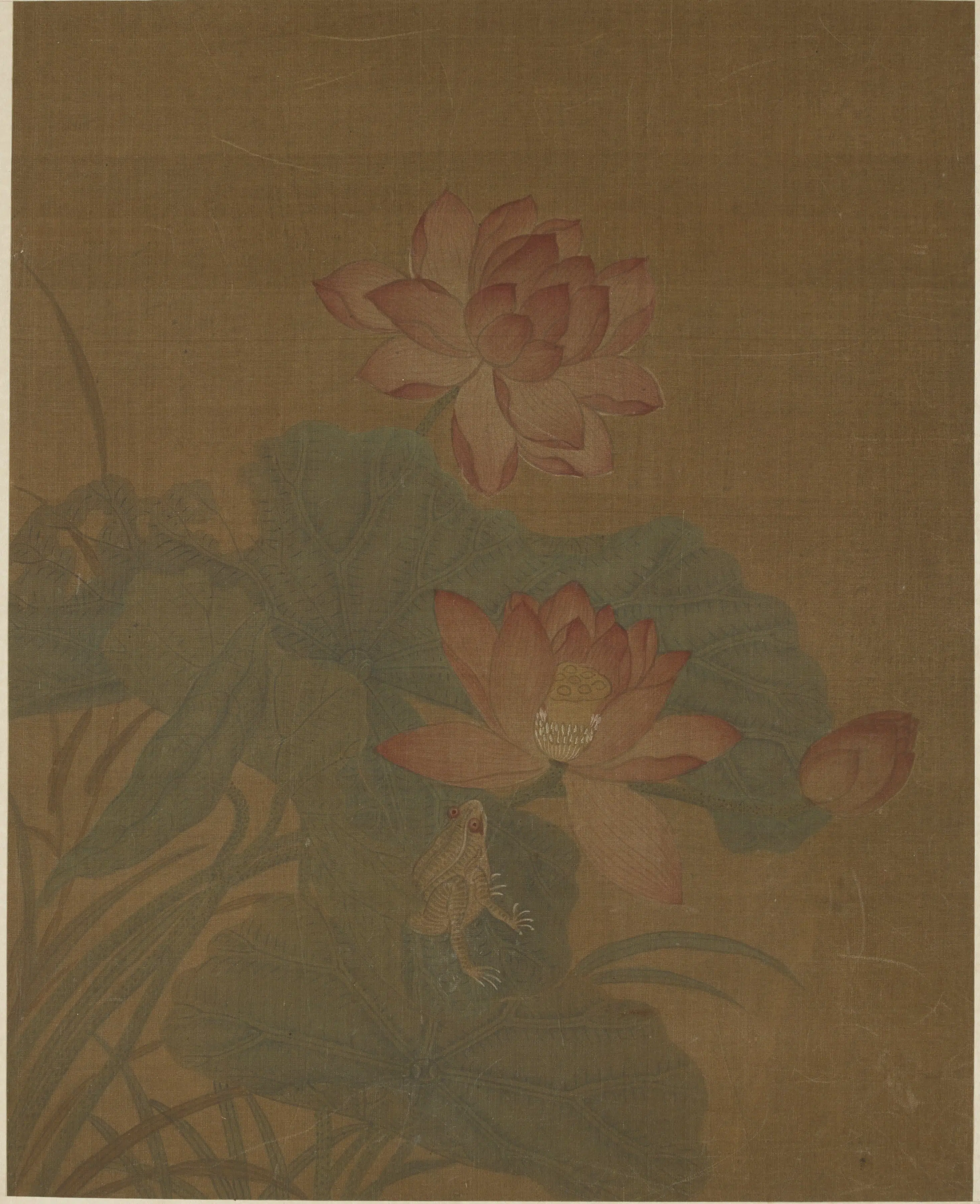 宋朝【黄居寀】《花卉图册八开》 第5张