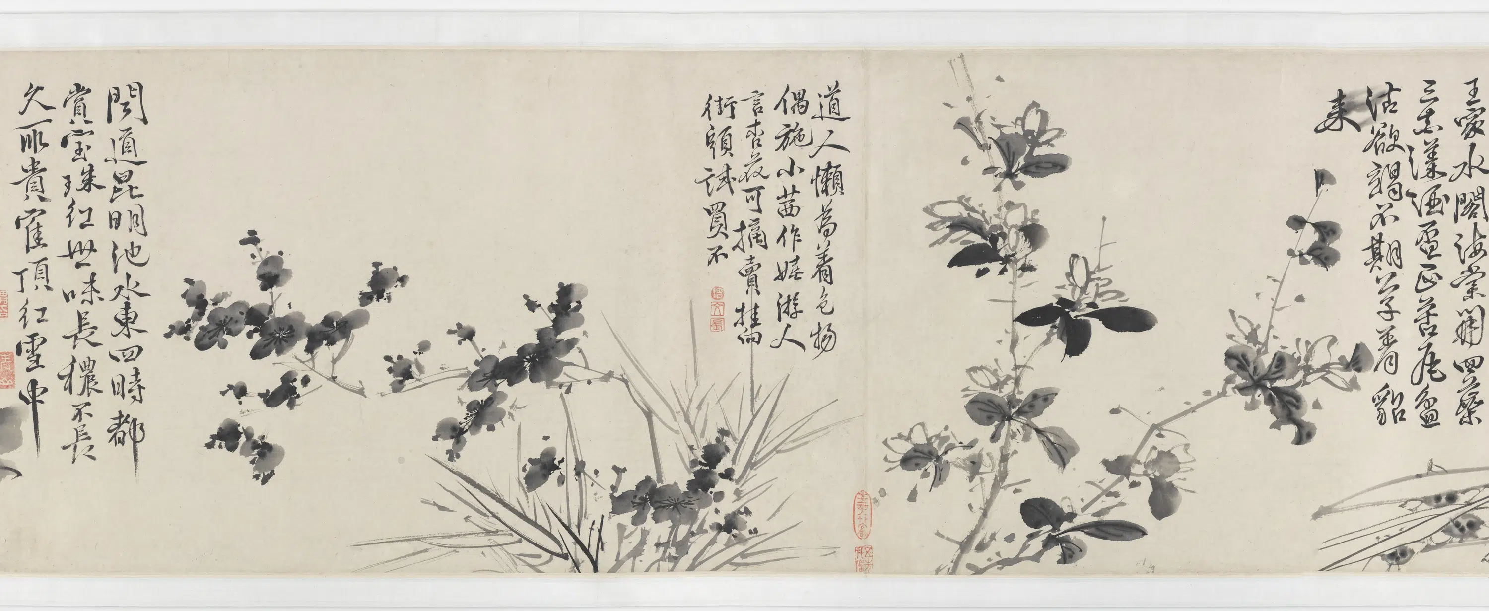 明朝【徐渭】《青藤墨妙（十二花卉配诗）图卷》 第2张