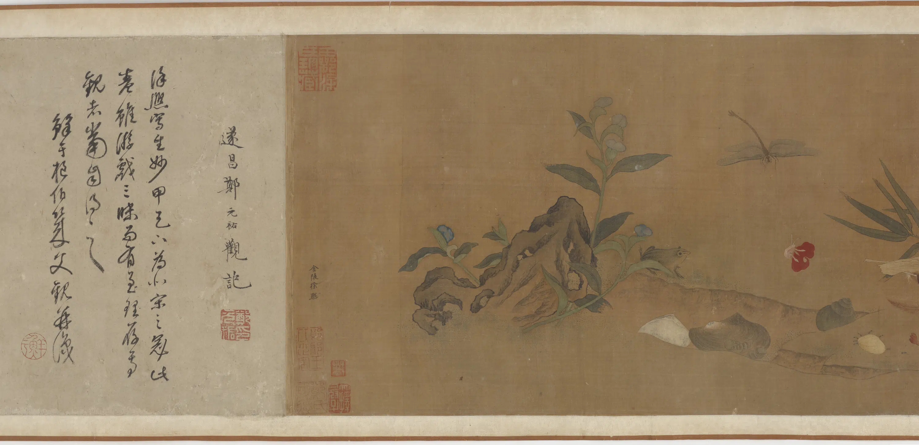 五代十国【徐熙】《花果贝虫图》