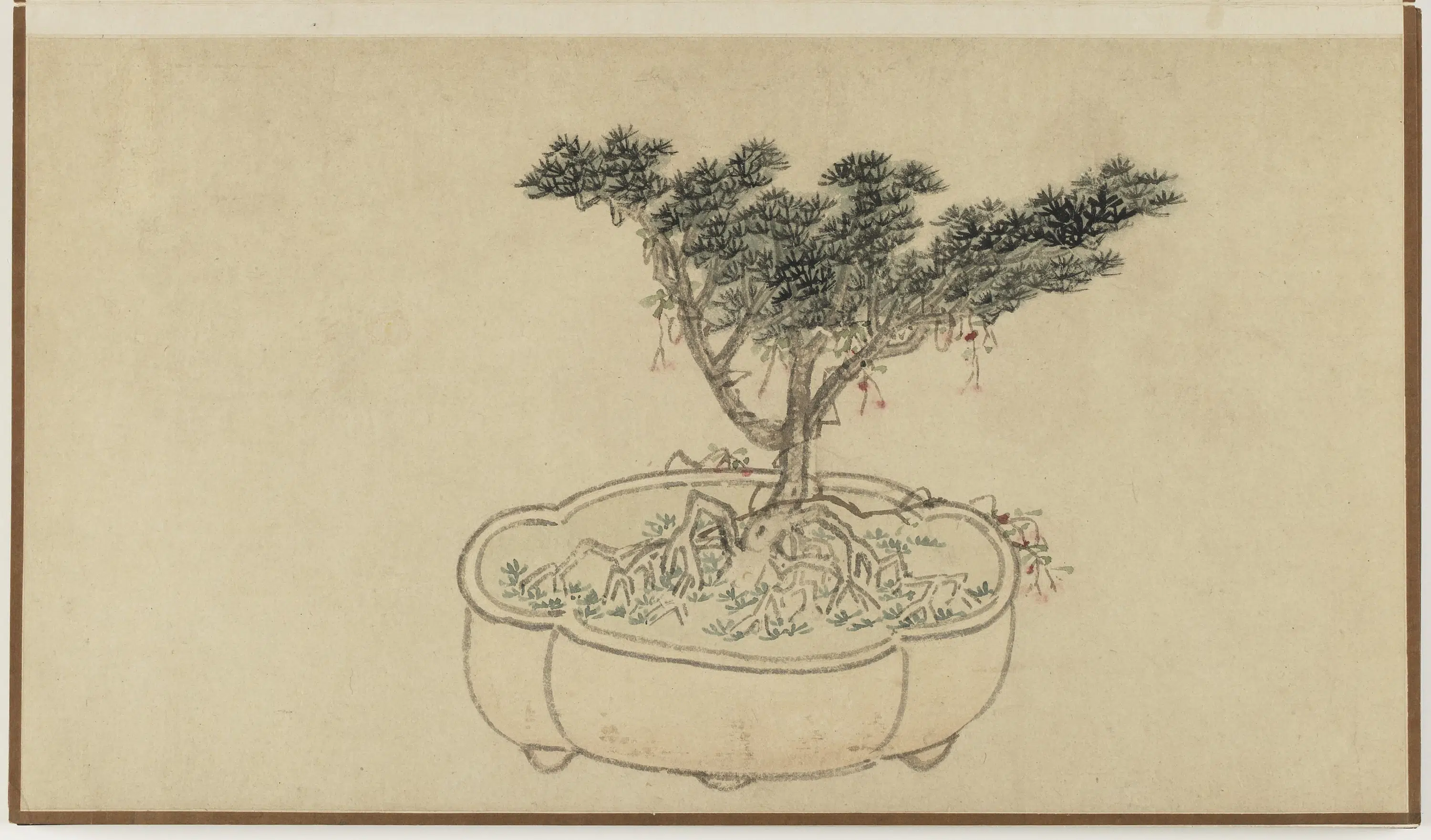 明朝【孙克弘】《盆石花卉册-桧柏》