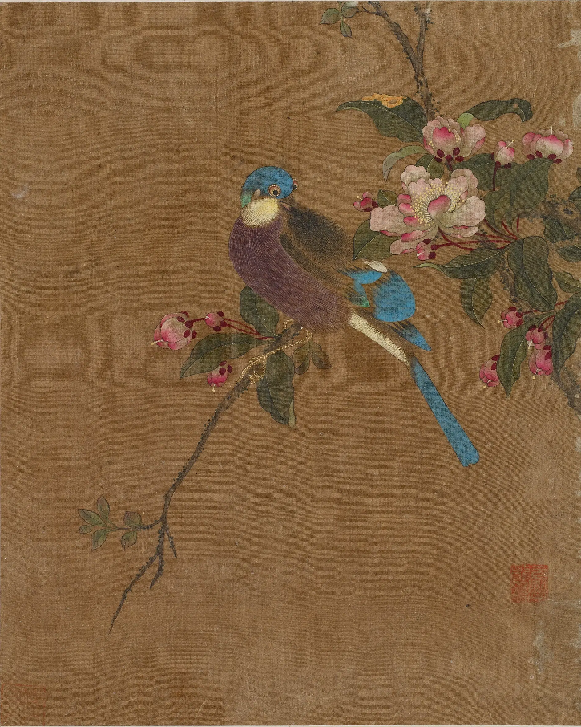《花鸟图册十开》 第8张