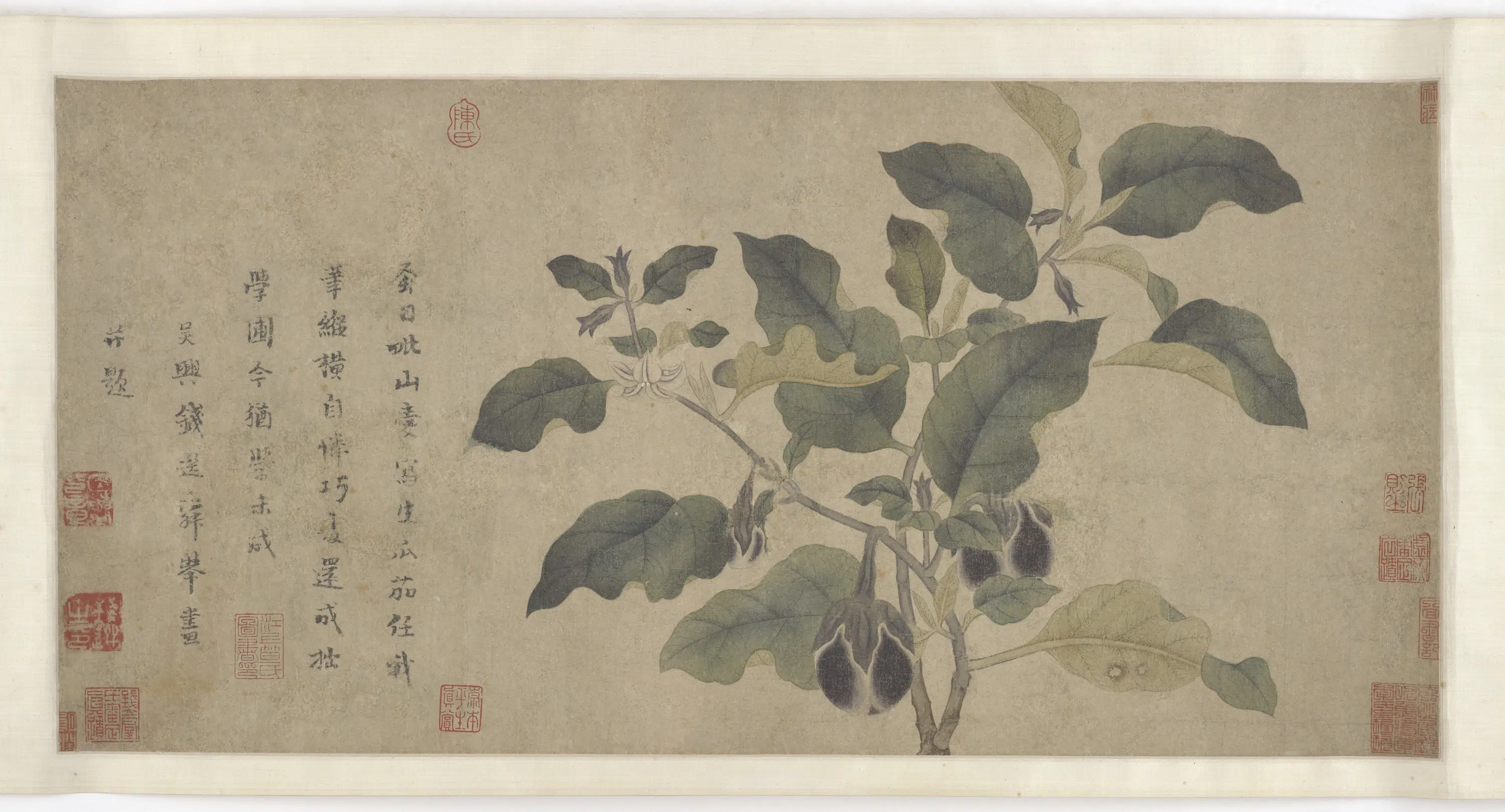 元朝【钱选】《紫茄子图卷》