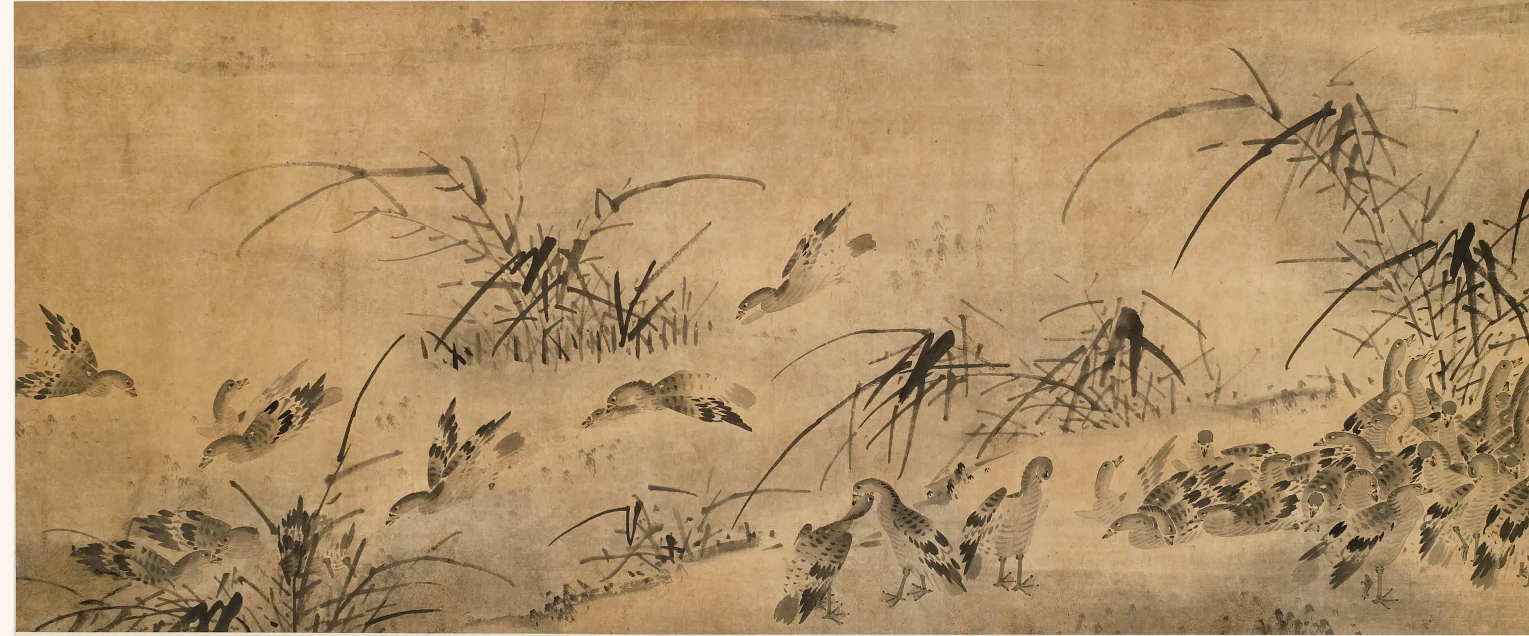 清代【陈应麟】《芦雁图卷》 第1张