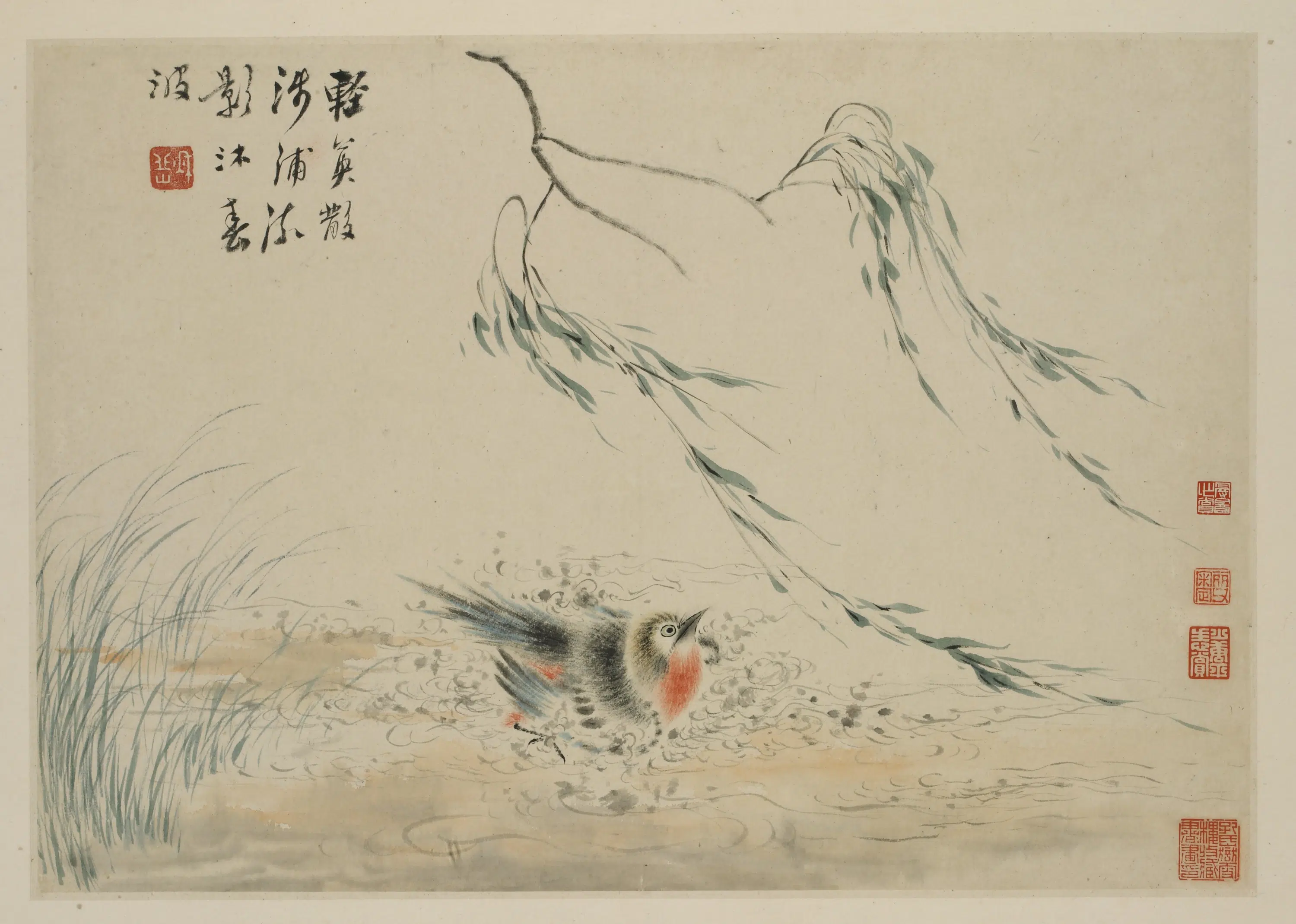 清朝【华岩】《新罗山人花鸟册》 第10张