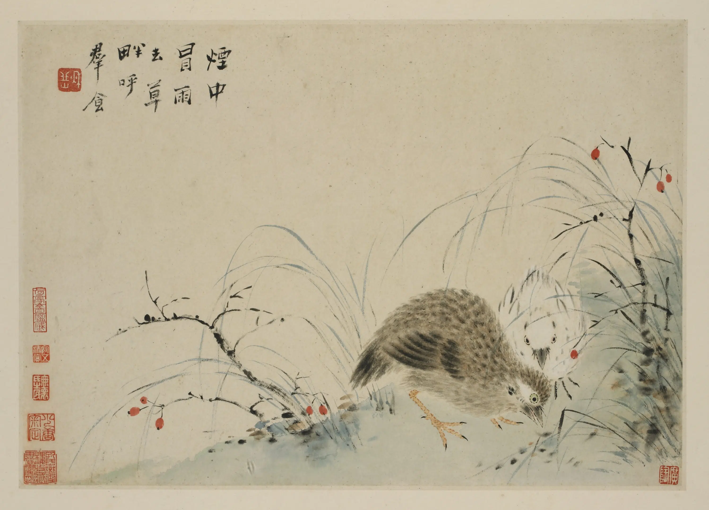 清朝【华岩】《新罗山人花鸟册》 第11张