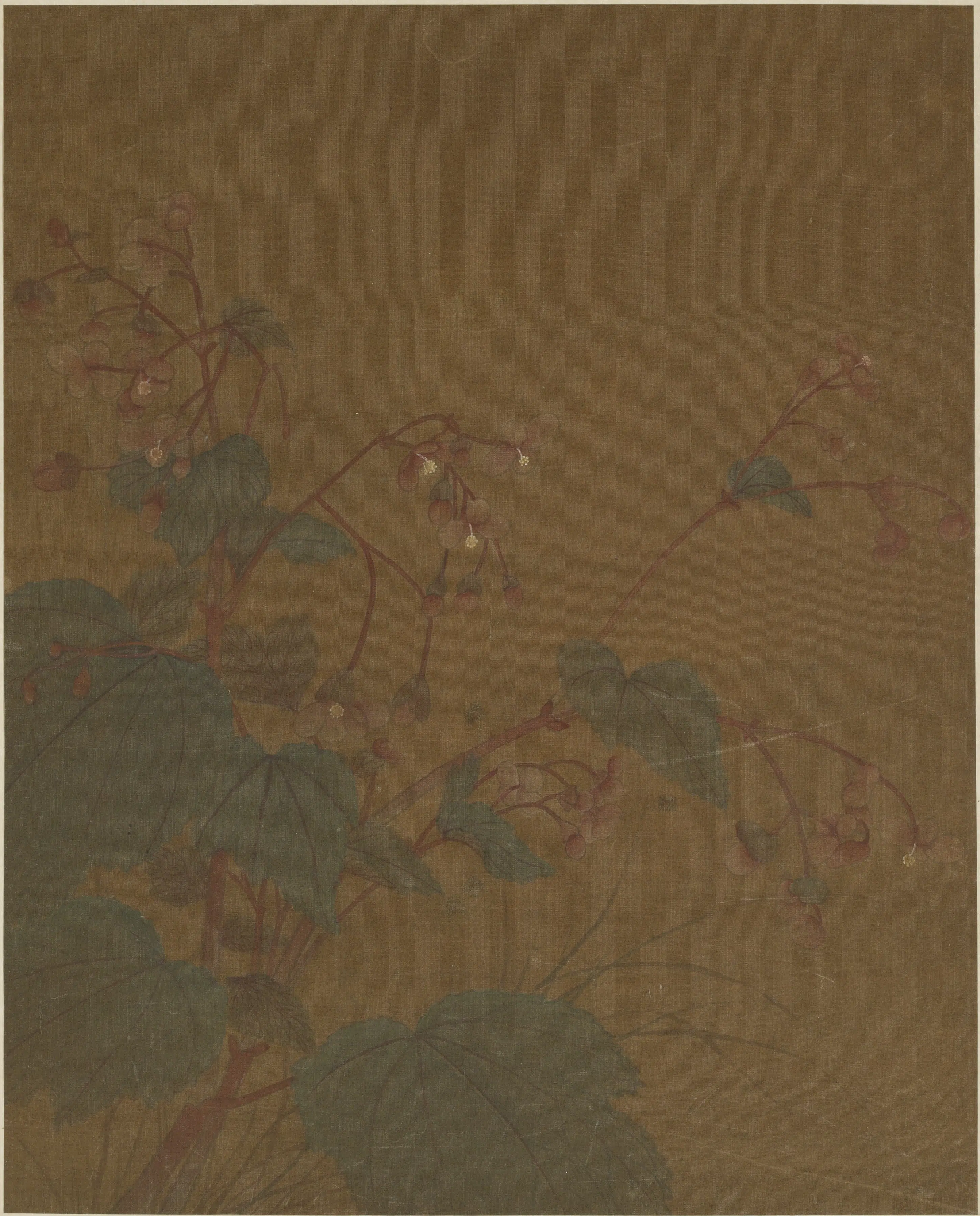 宋朝【黄居寀】《花卉图册八开》 第8张