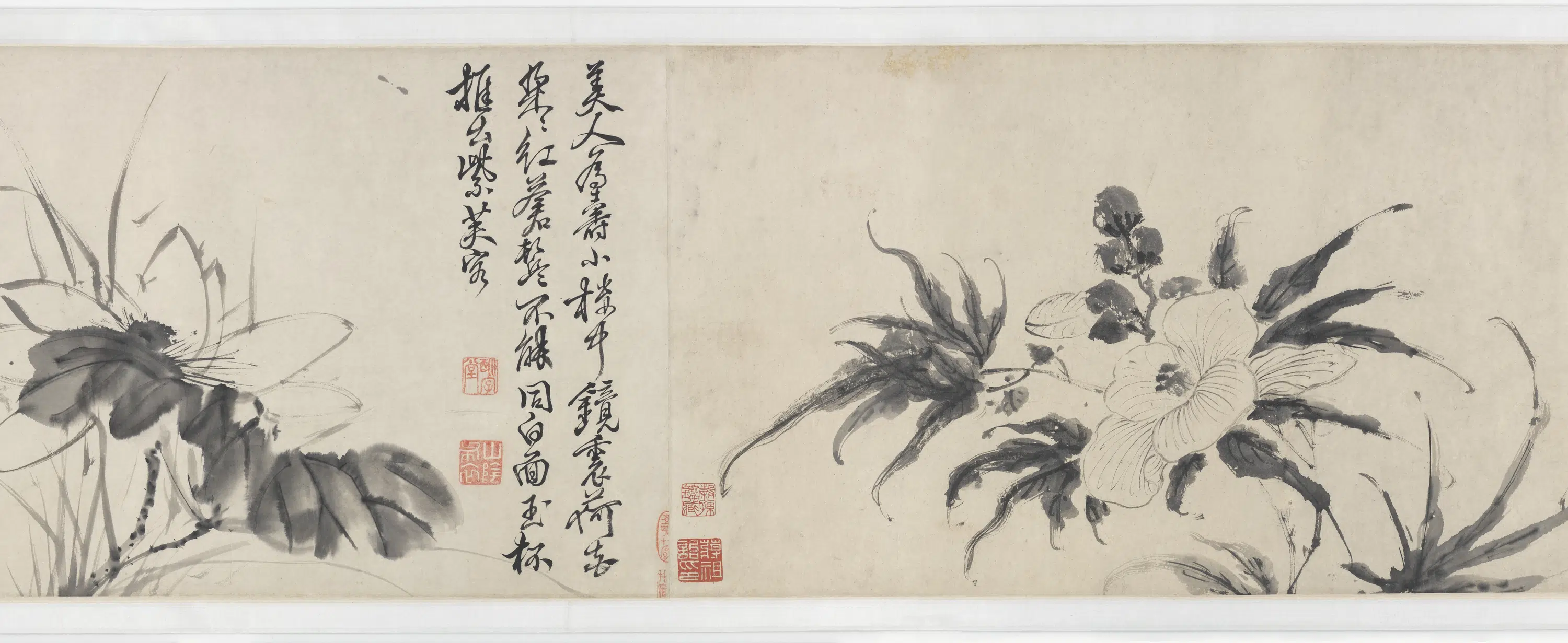 明朝【徐渭】《青藤墨妙（十二花卉配诗）图卷》 第5张
