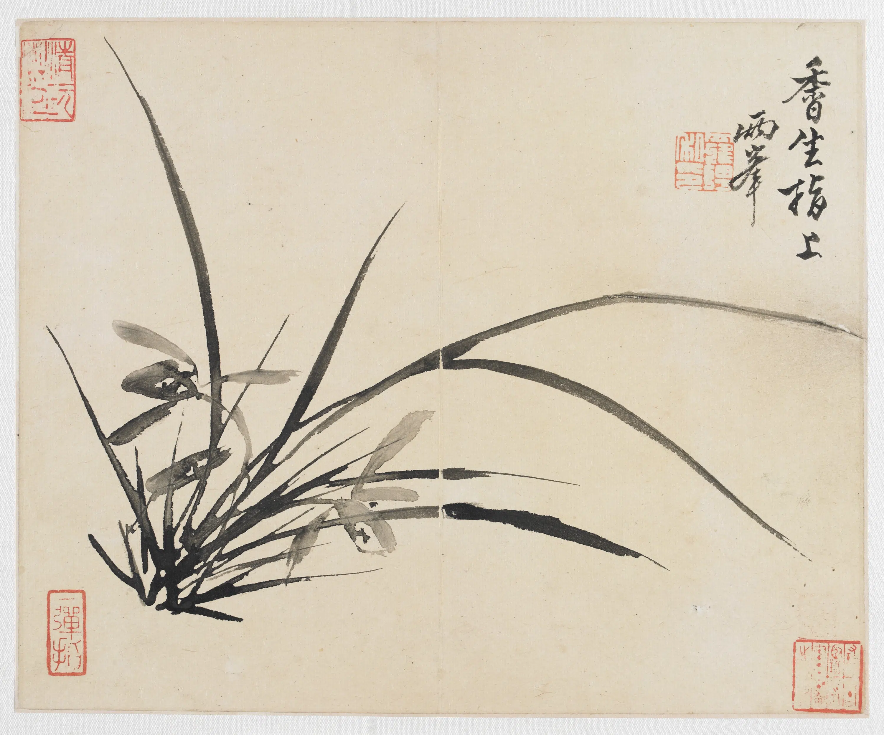 清朝【罗聘】《山水花鸟册之兰花》 第1张 清朝【罗聘】《山水花鸟册之兰花》 第1张