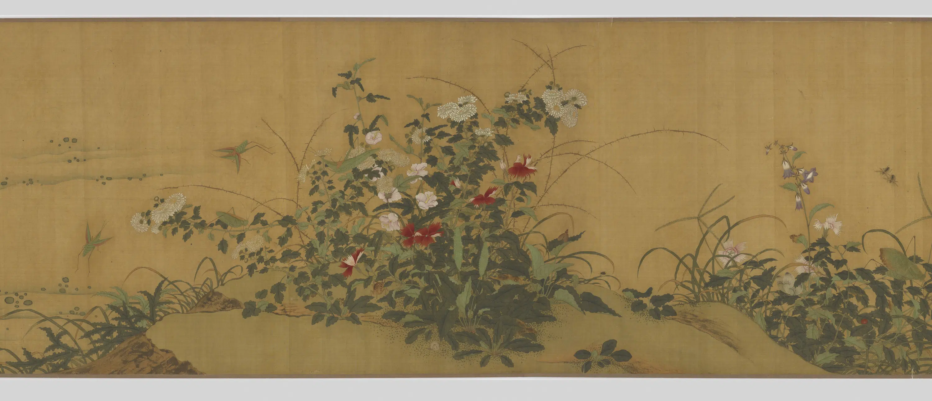 五代十国【黄筌(荃)】《花卉草虫图卷》 第4张 五代十国【黄筌(荃)】《花卉草虫图卷》 第4张