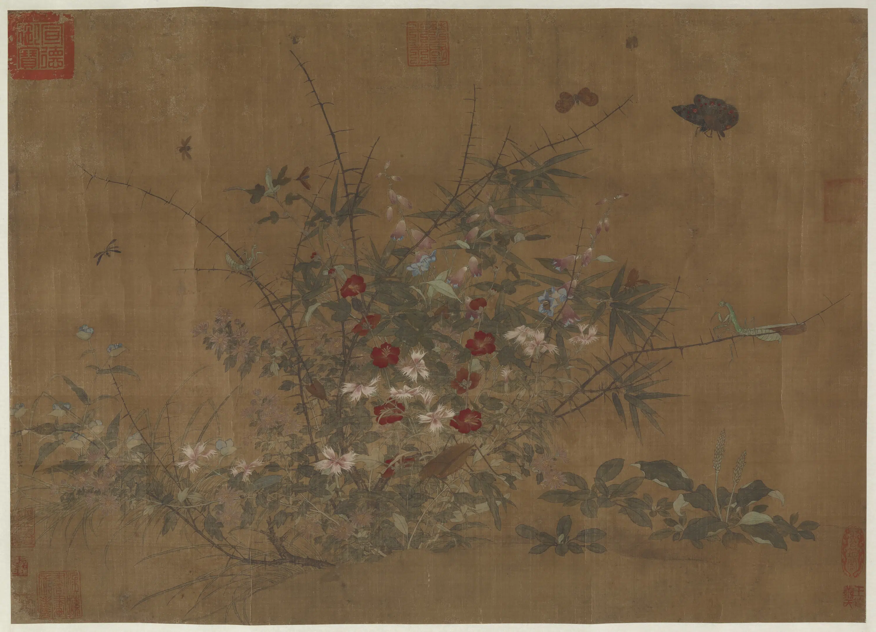 五代十国【丘余庆】《花卉草虫图》