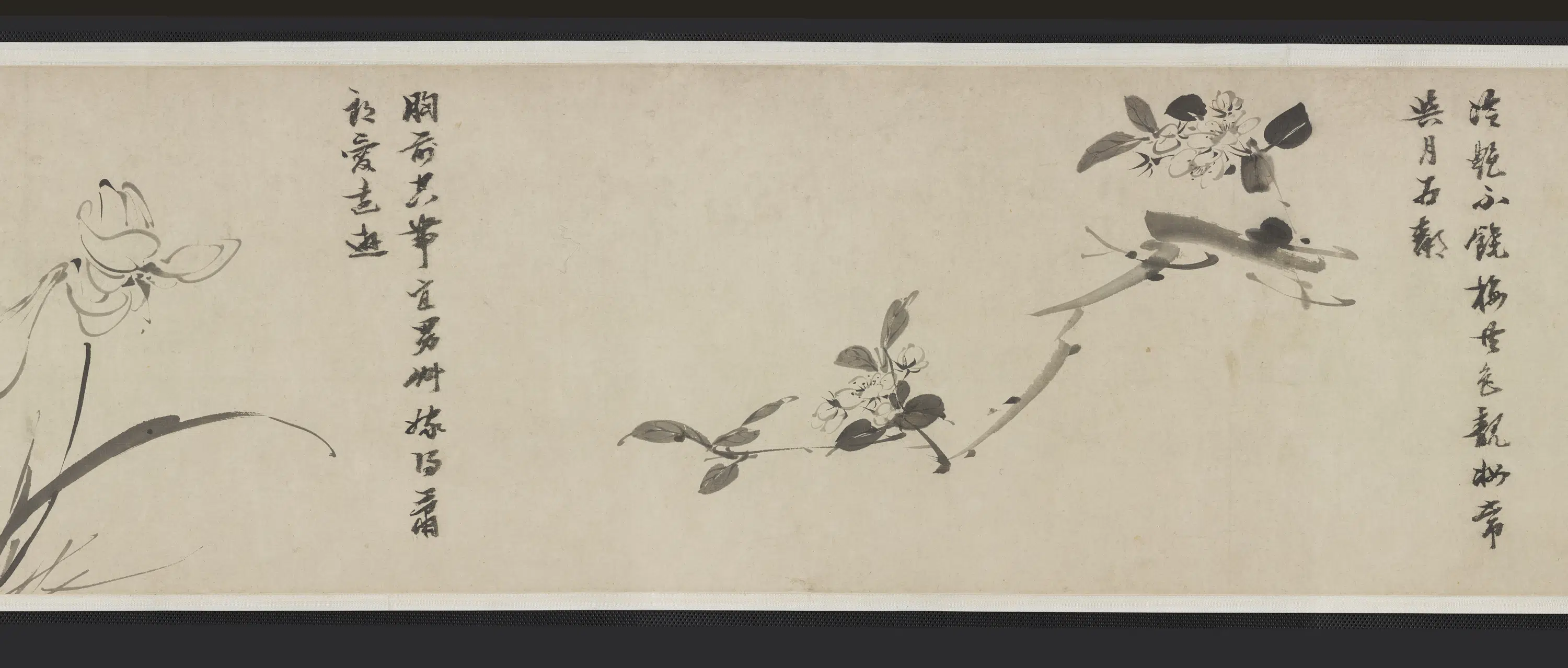 明朝【倪元璐】《墨笔六种花卉画卷》 第6张