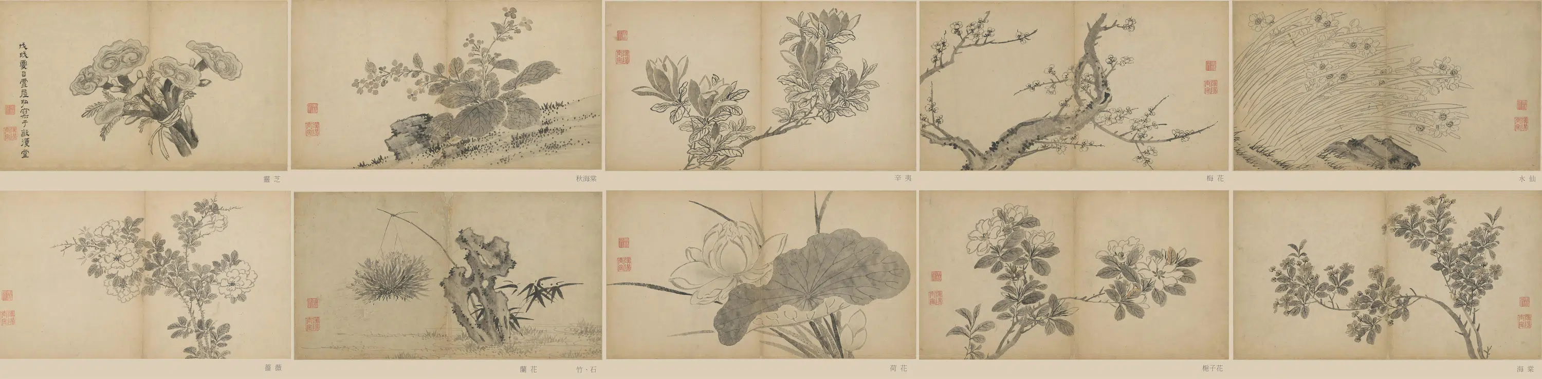 明朝【孙克弘】《花卉册页》