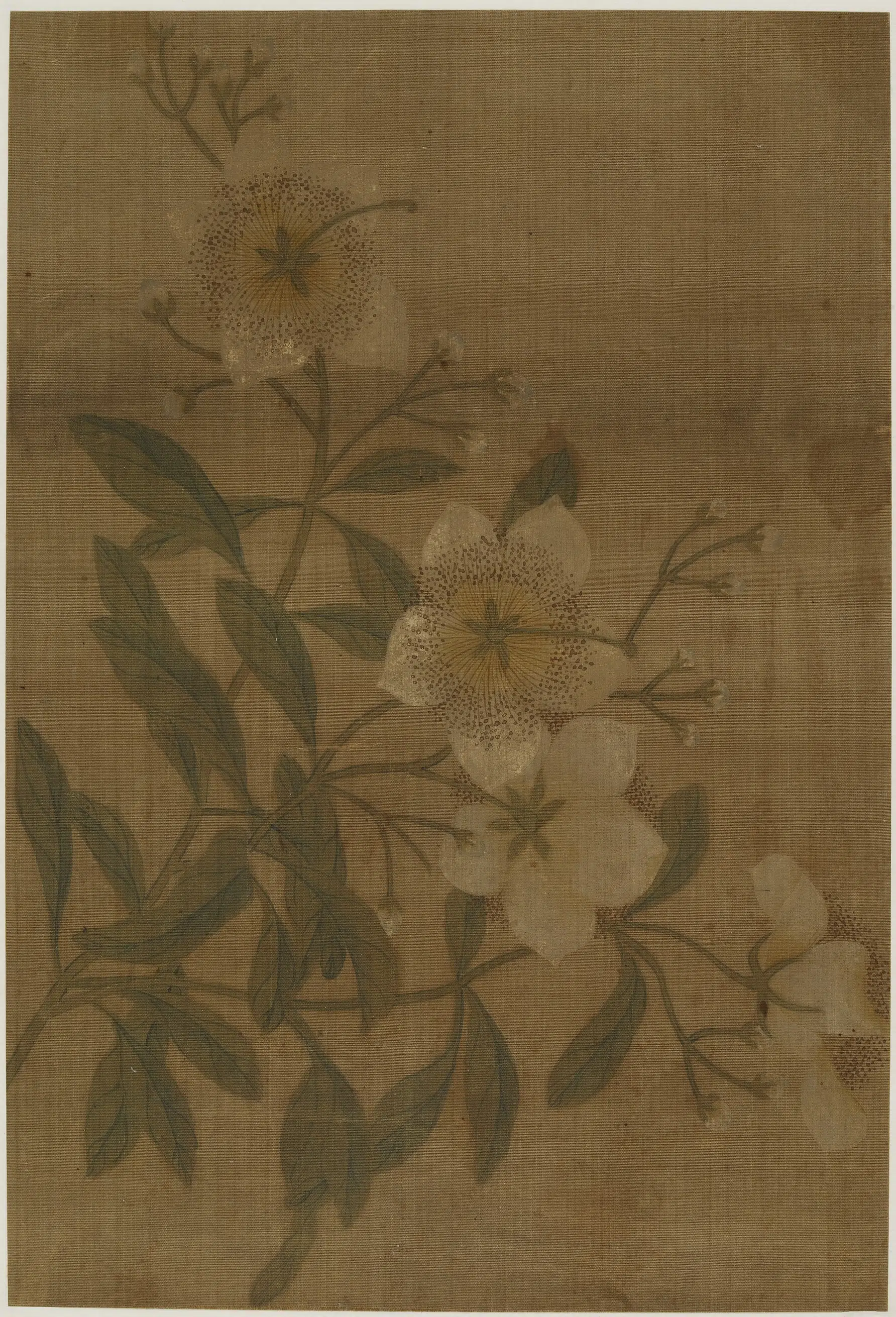 【佚名】《折枝花卉图》
