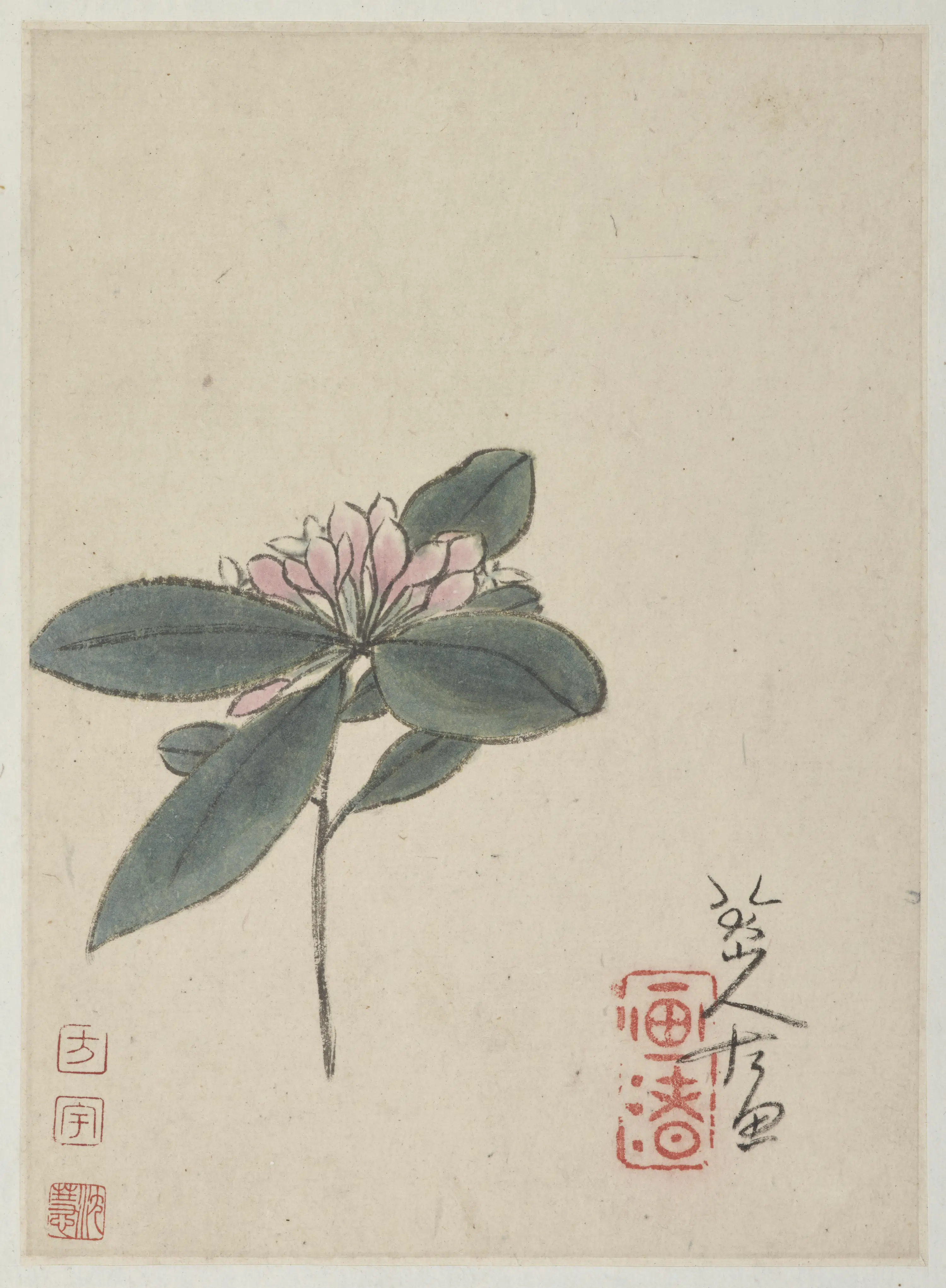 清朝【朱耷】《丁香花图并行草题跋(两册页)》
