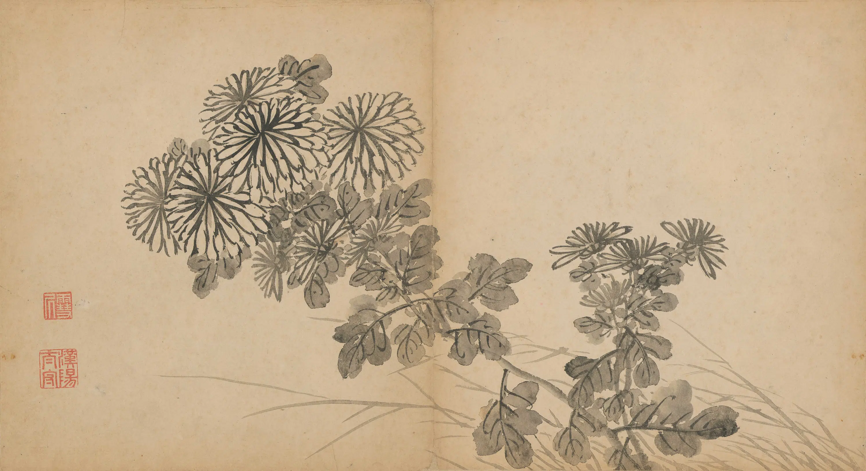 明朝【孙克弘】《菊花图》