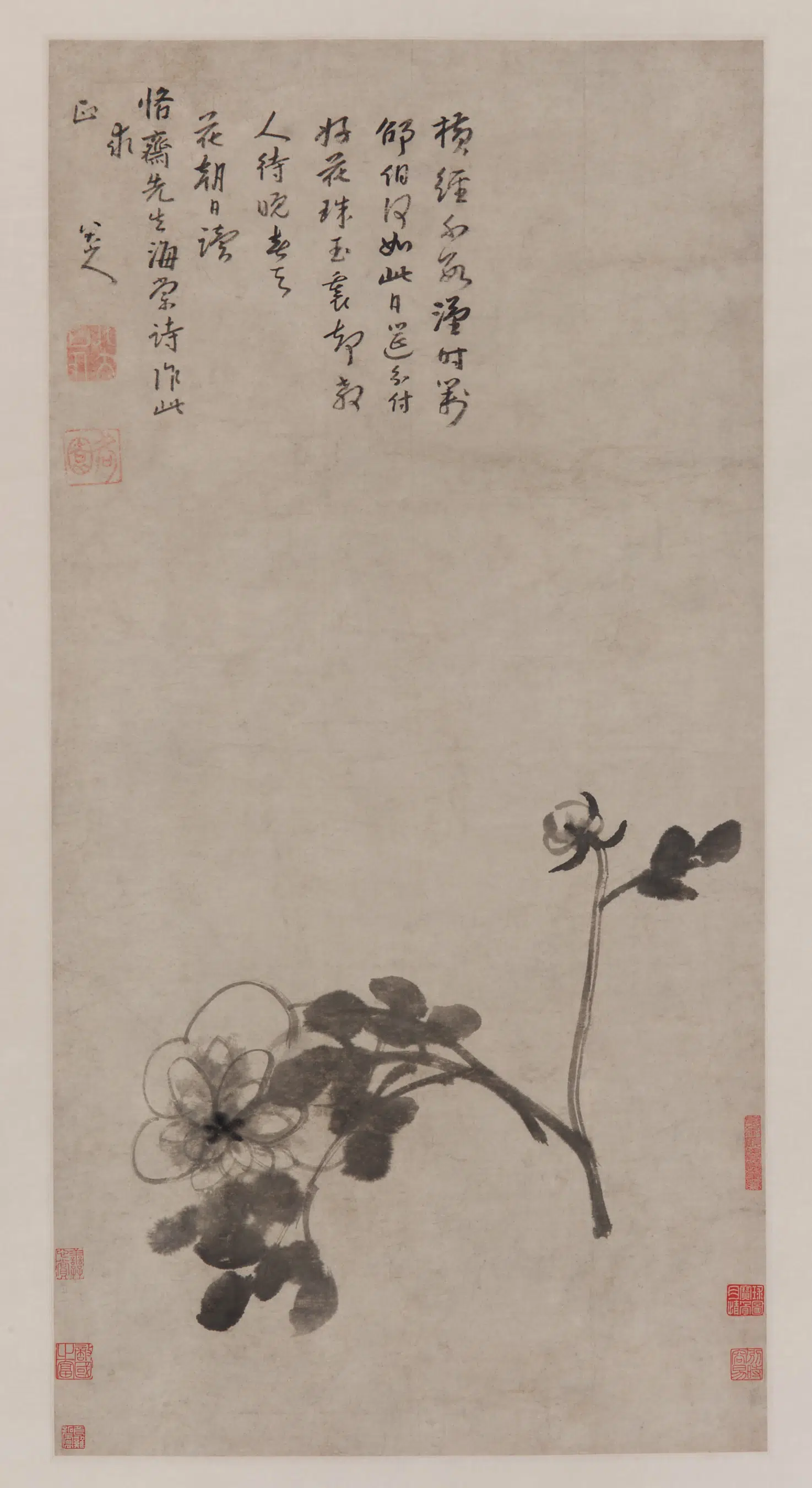 清朝【朱耷】《芍药图轴》
