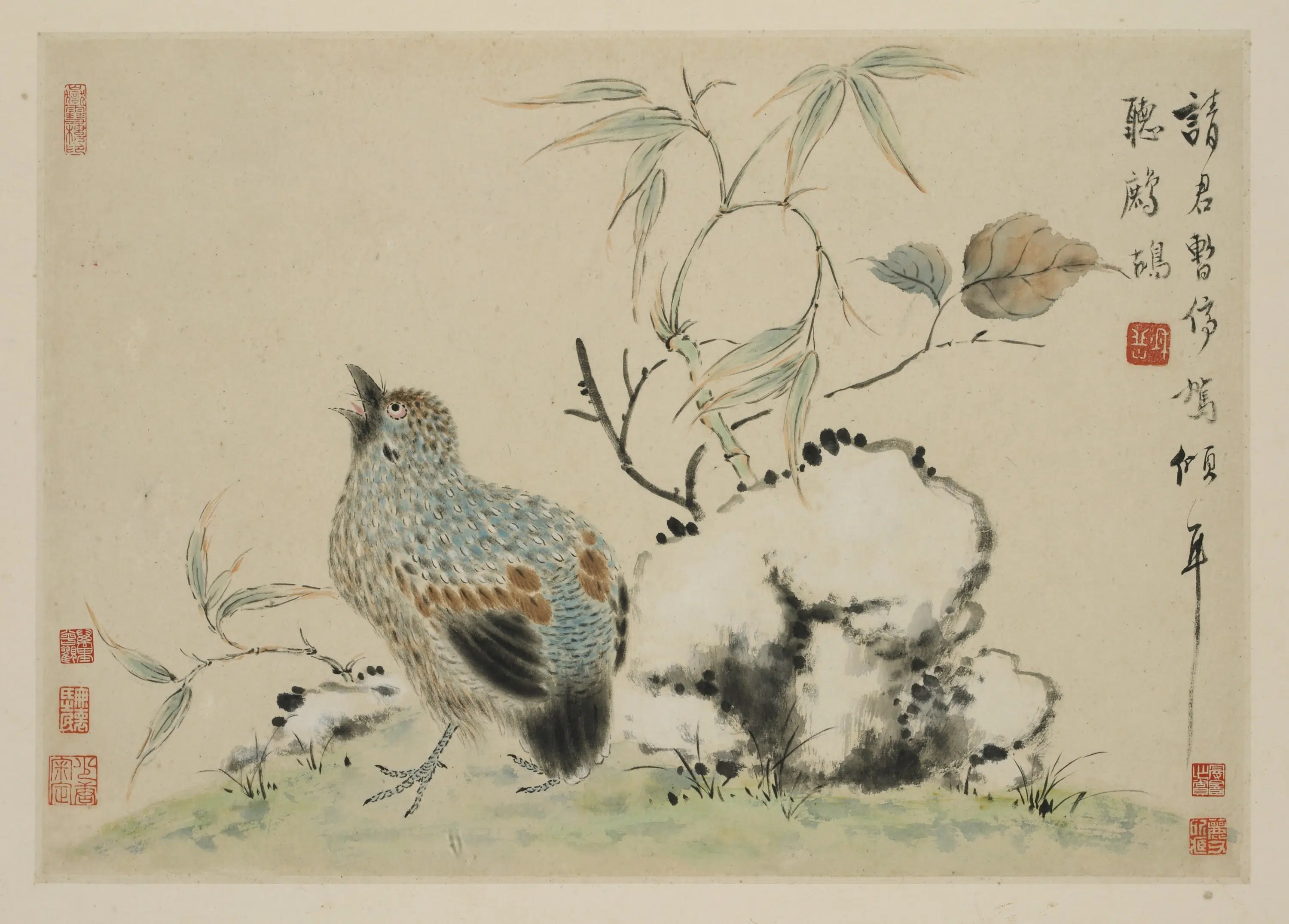 清朝【华岩】《新罗山人花鸟册》 第6张